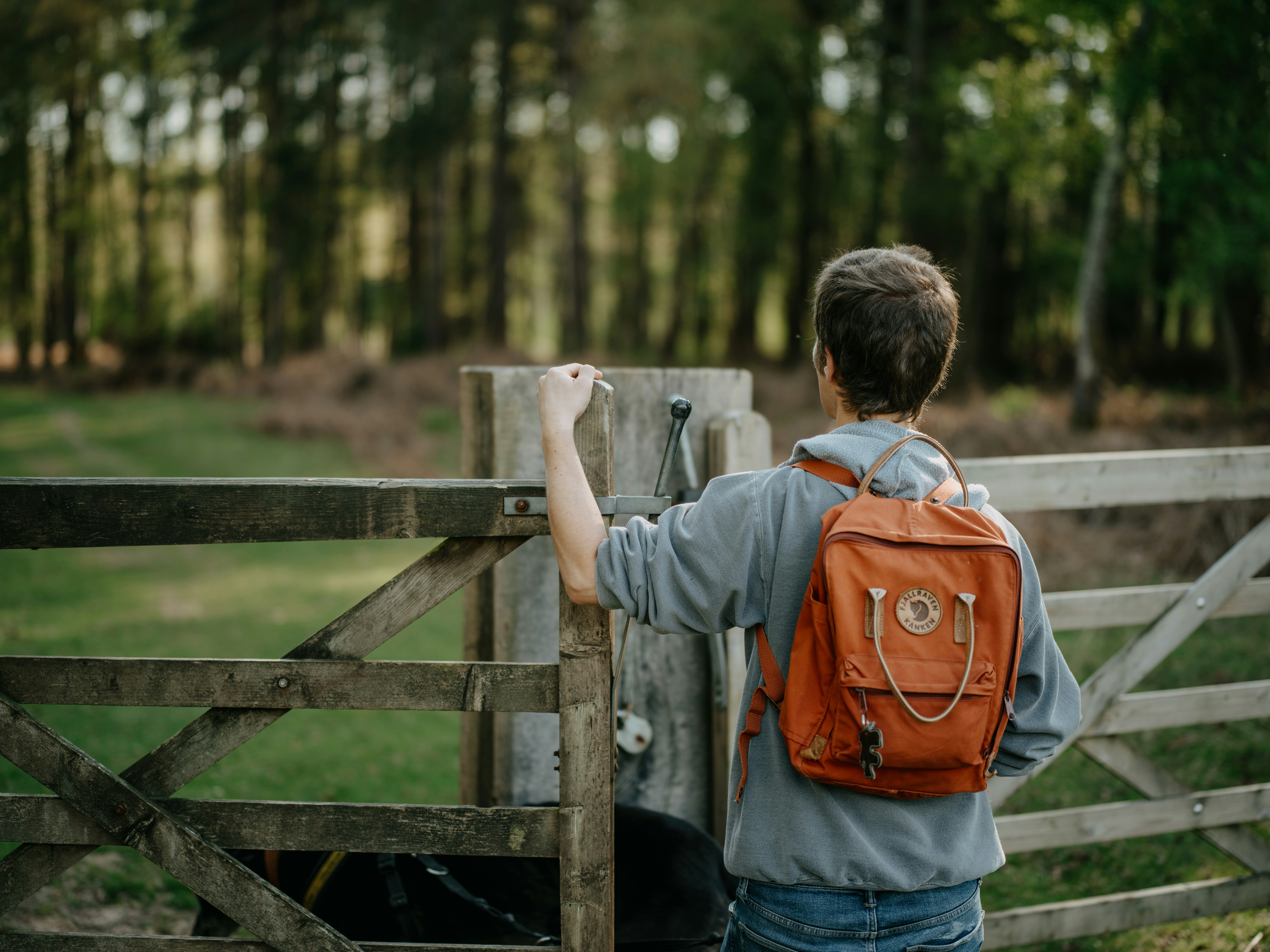 Photo by anniespratt