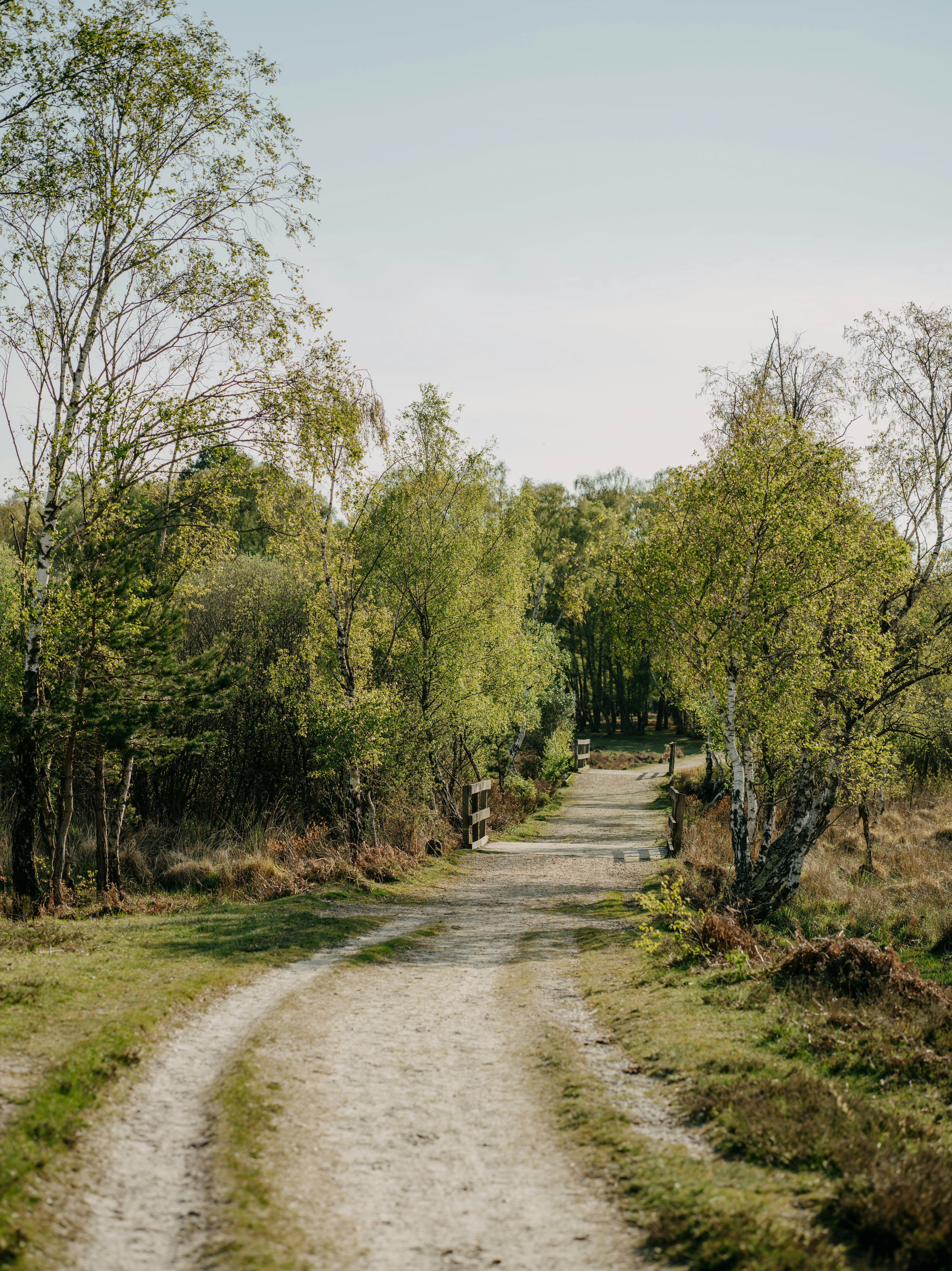 Photo by anniespratt