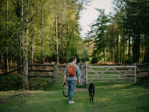 A volunteer walking a rehabilitated dog on a trail near Jasonville.