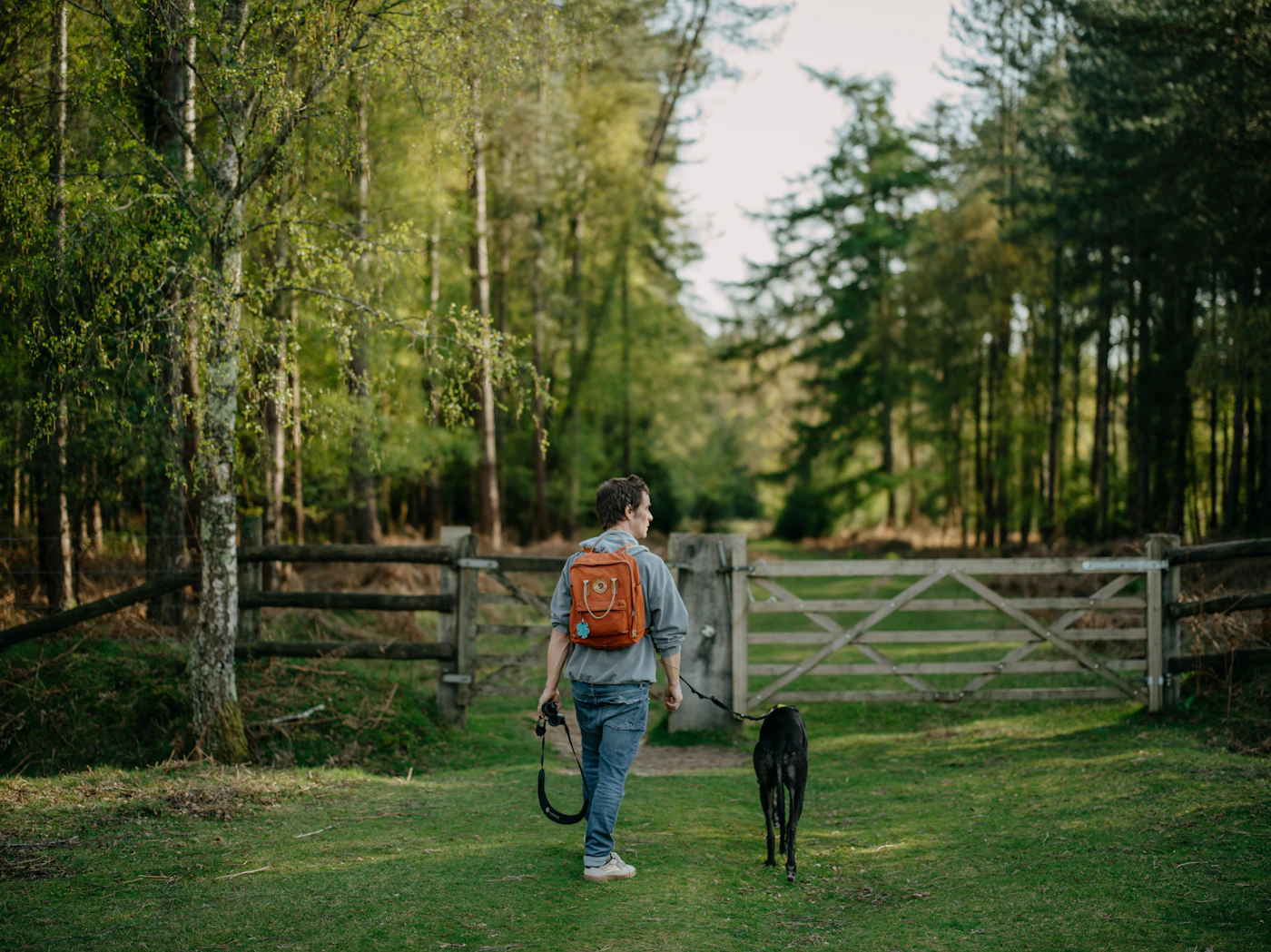 A person seen from behind walking a dark dog on a leash along a grassy forest path toward a wooden gate