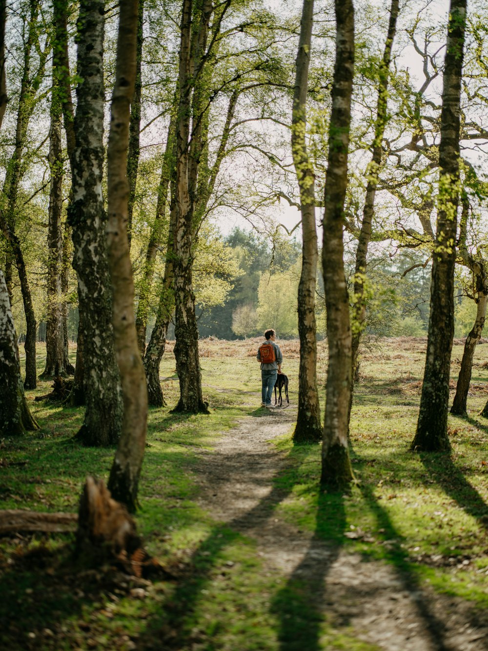 a couple of people walking down a path through a forest