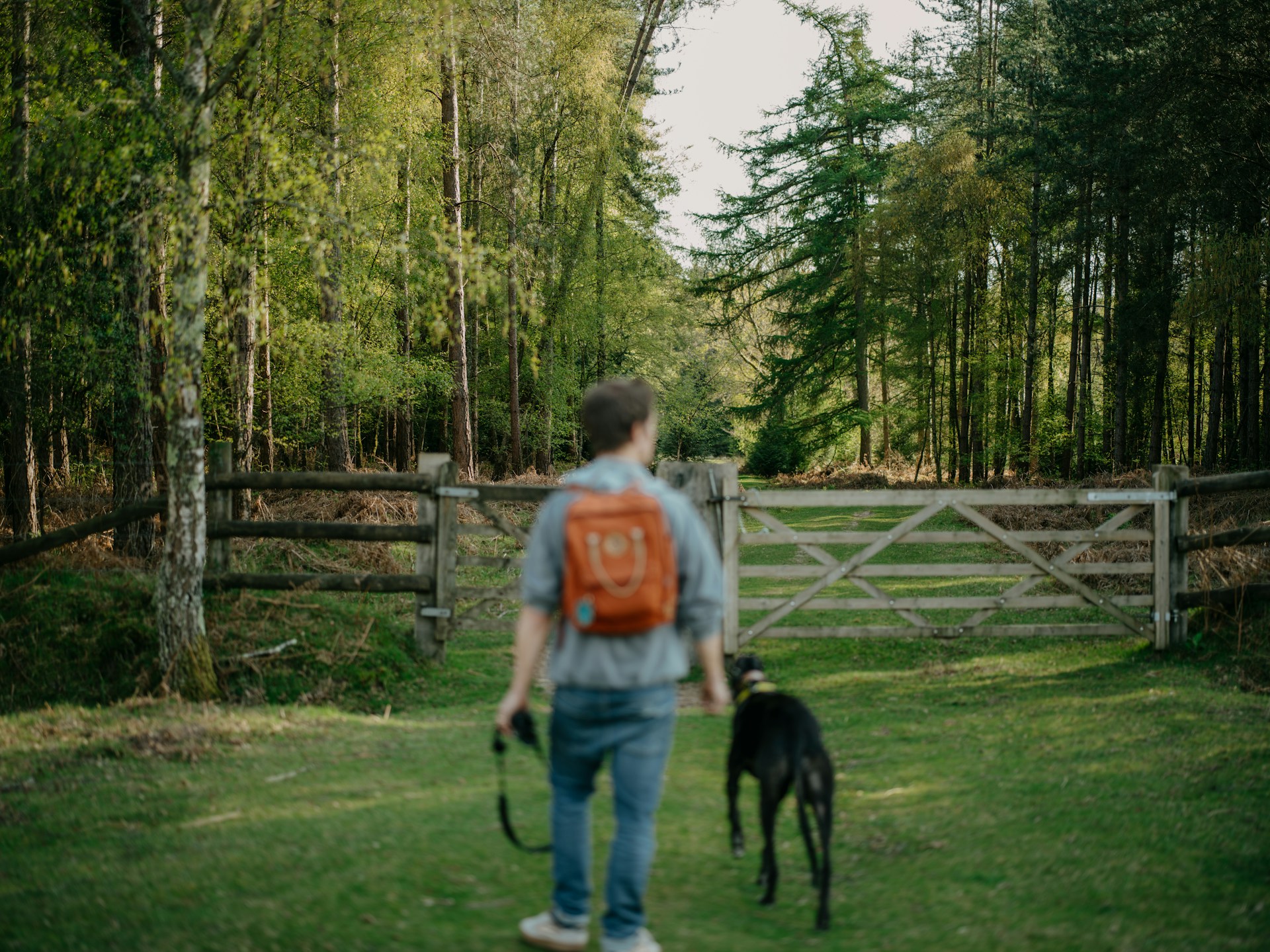 gray computer monitor