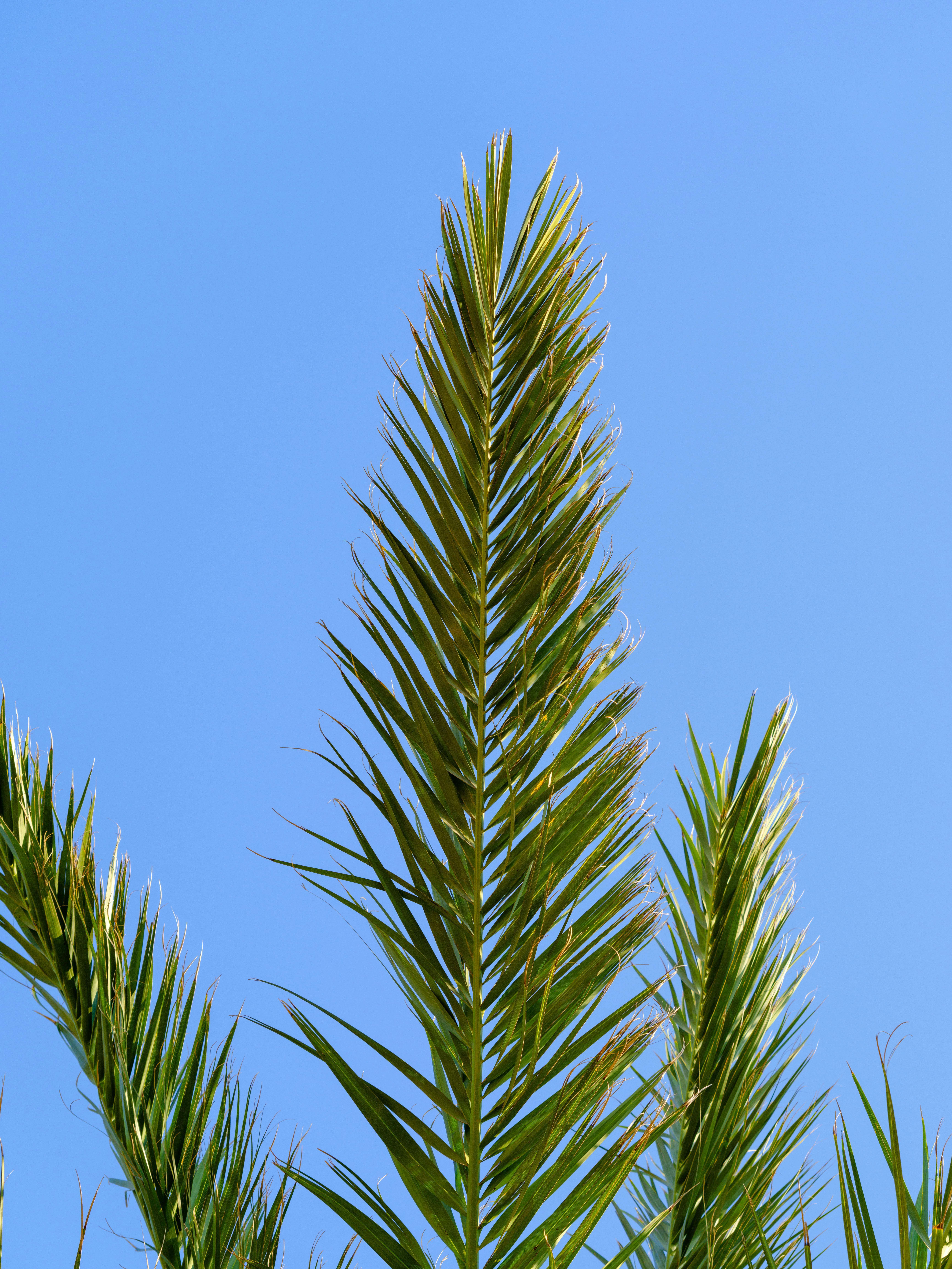 Photo by enginakyurt