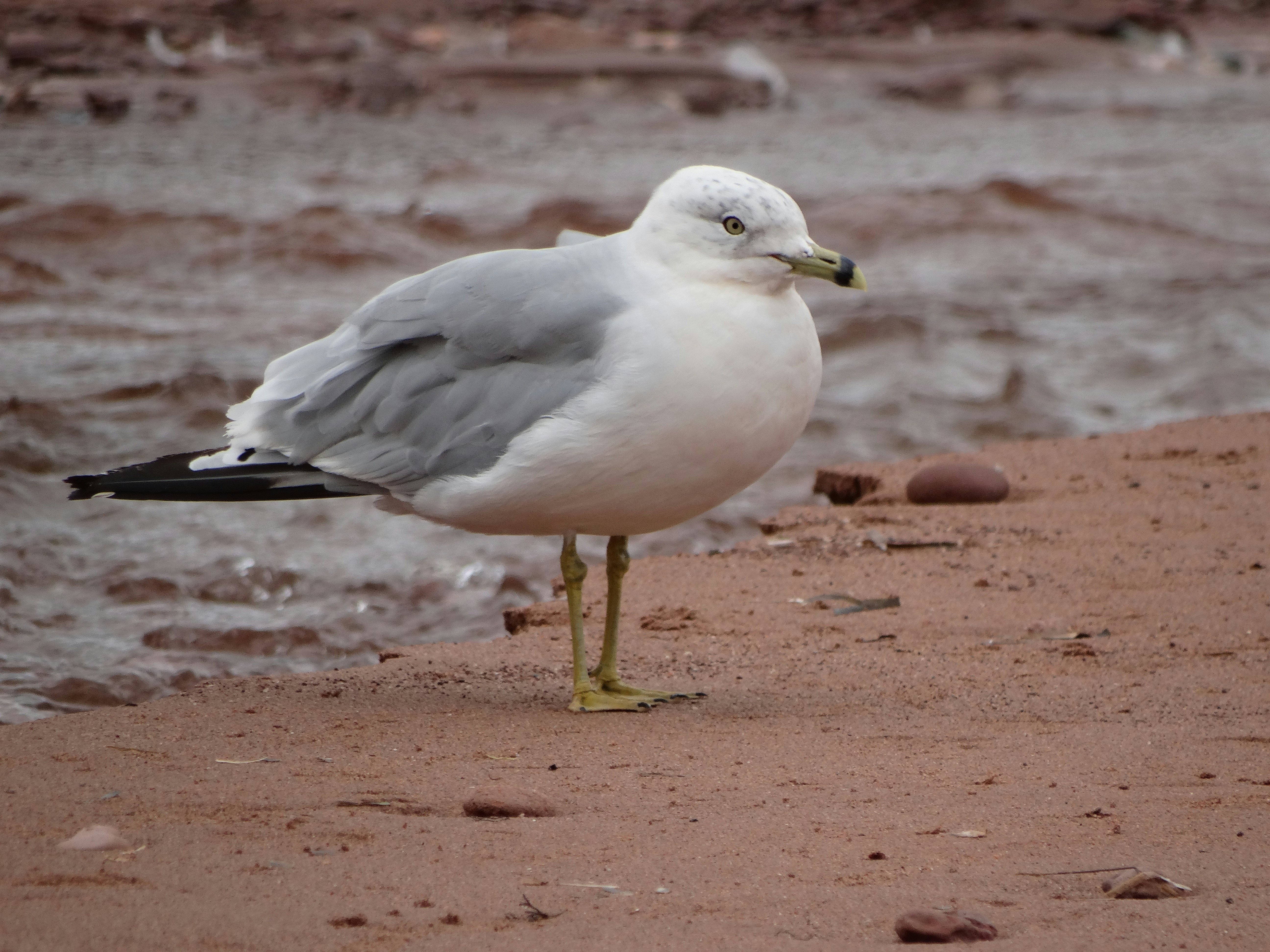 Photo by lismott2023