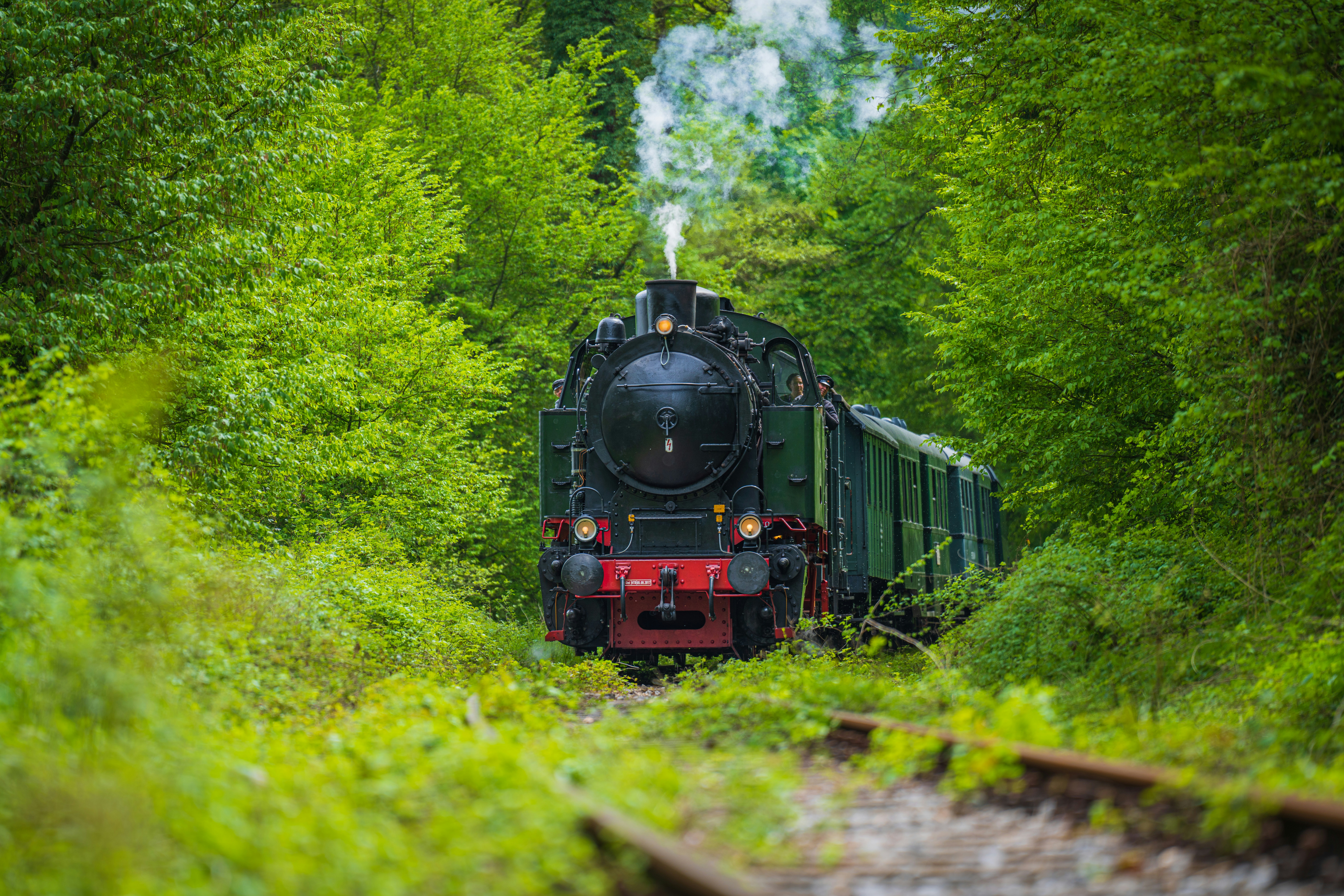 Photo by dmaxsilencer