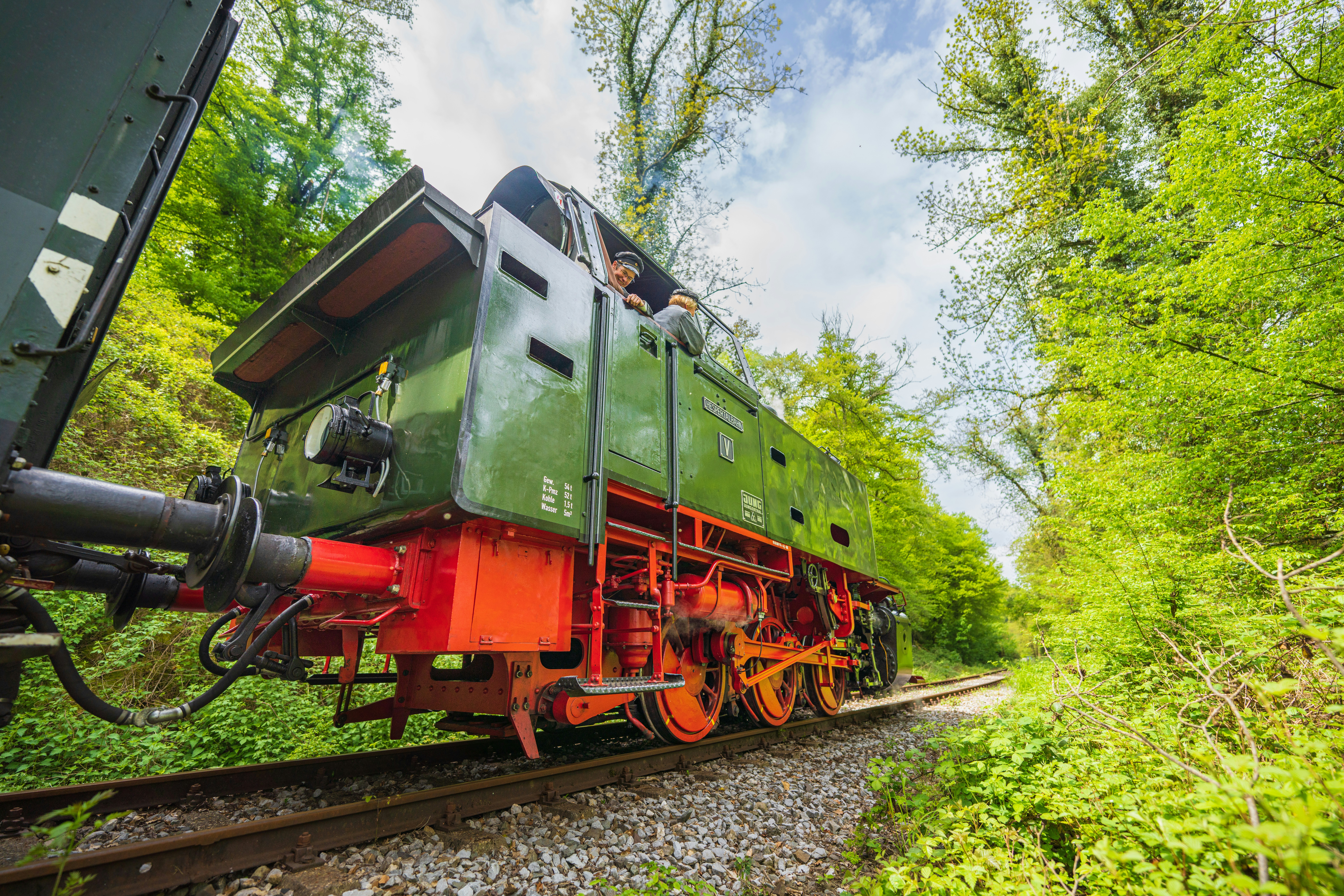 a train traveling through a lush green forest