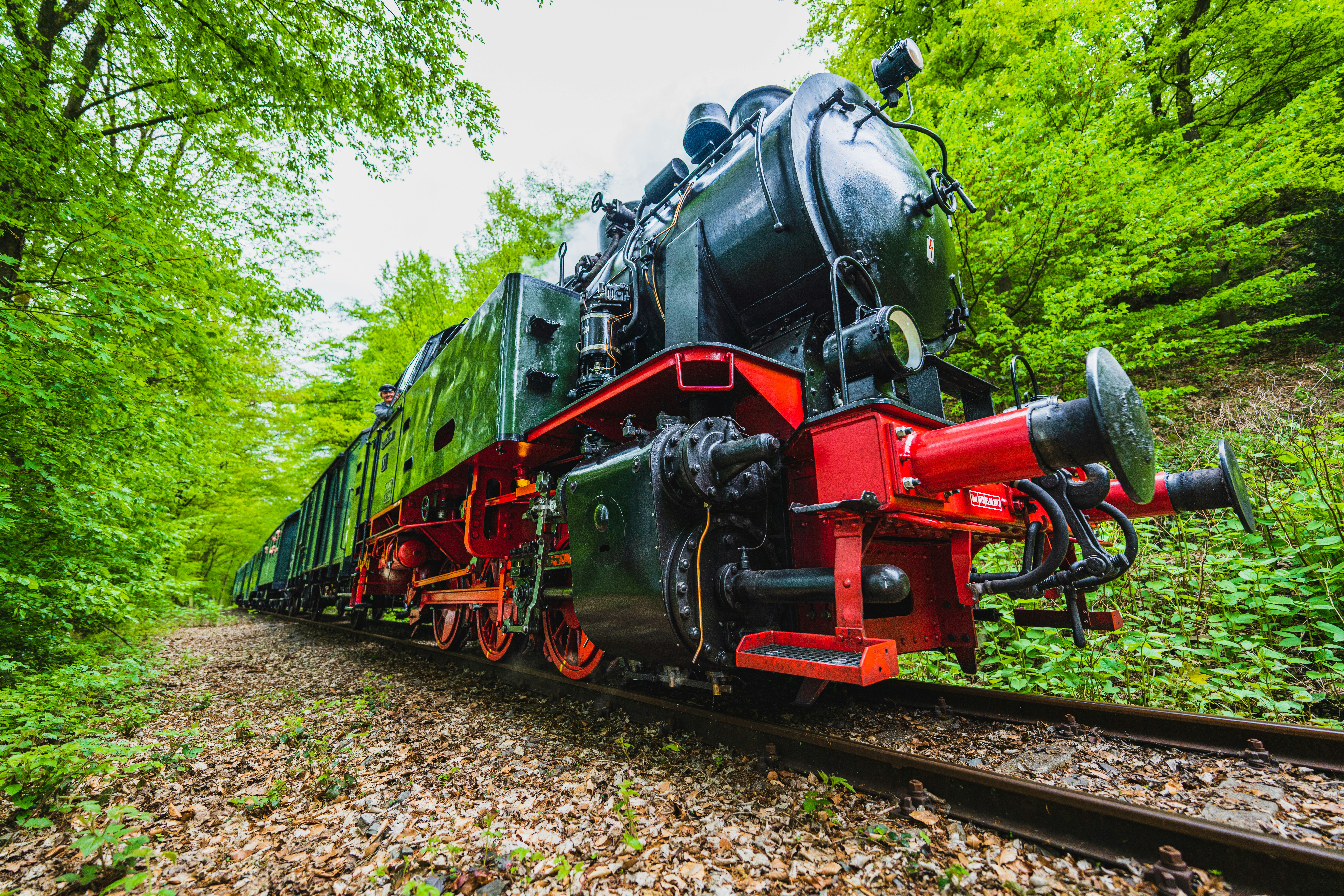 a train traveling through a lush green forest