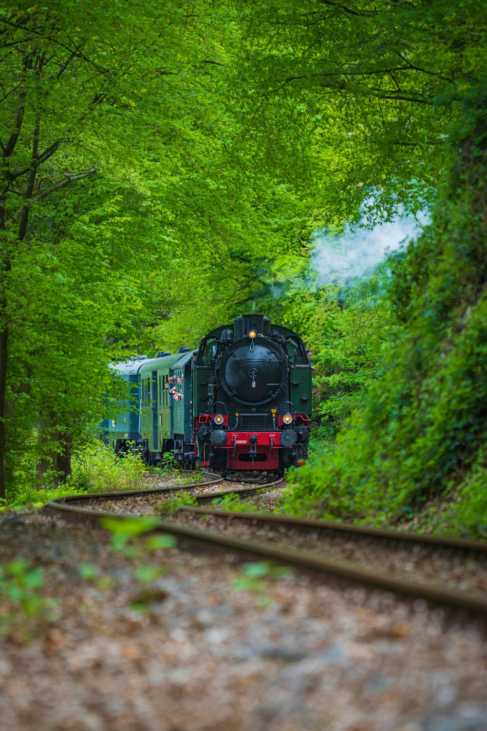 a train traveling through a lush green forest