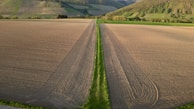 Aerial view of a vast agricultural field with crops growing under a clear sky.