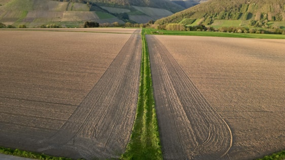 Aerial view of a vast agricultural field with neat rows, bordered by a narrow green path. The landscape extends to rolling hills covered with patches of forest and fields, under a clear sky.
