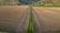 Aerial view of a vast soybean field under a clear sky.