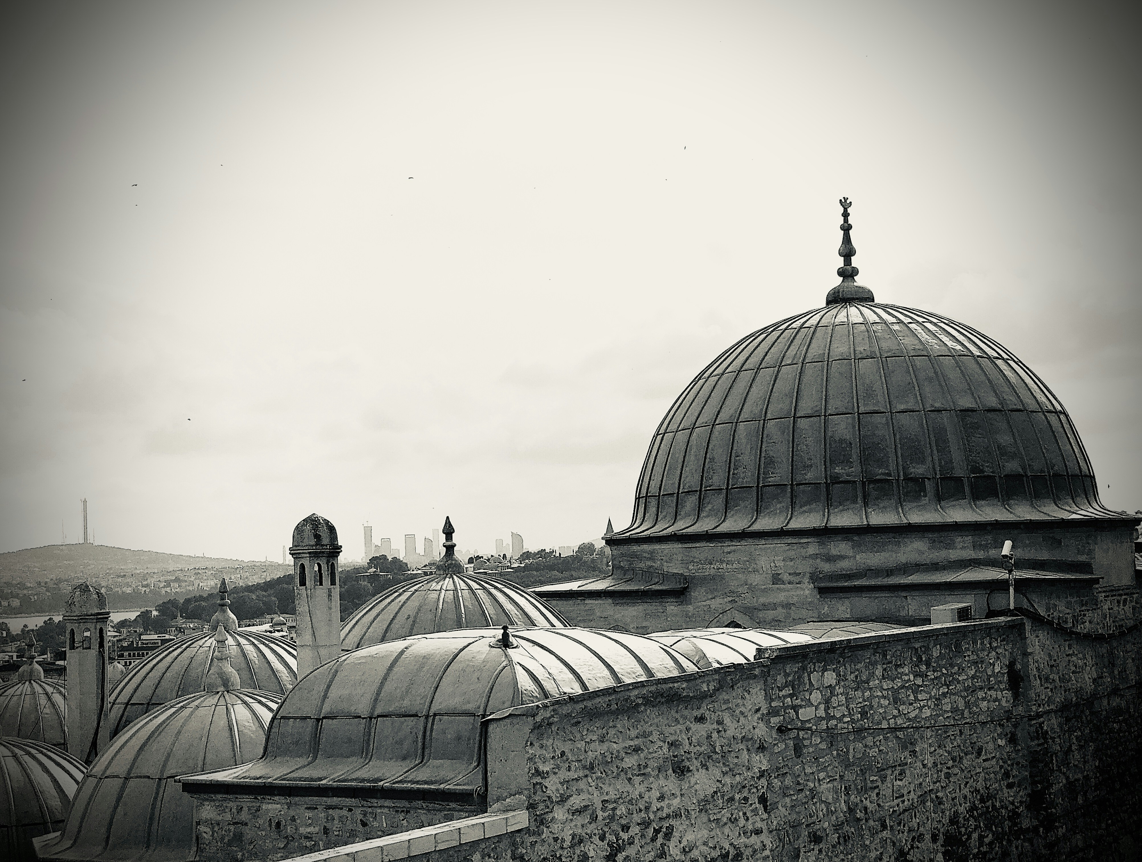 a black and white photo of a group of domes, 