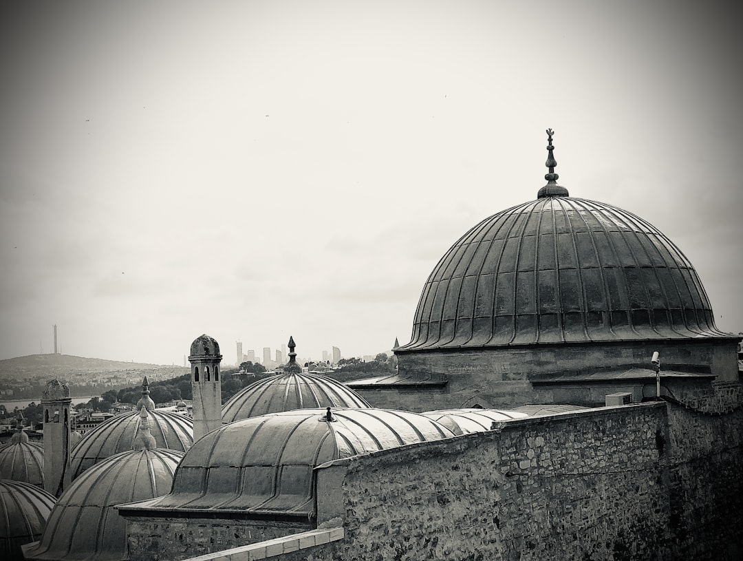a black and white photo of a group of domes,