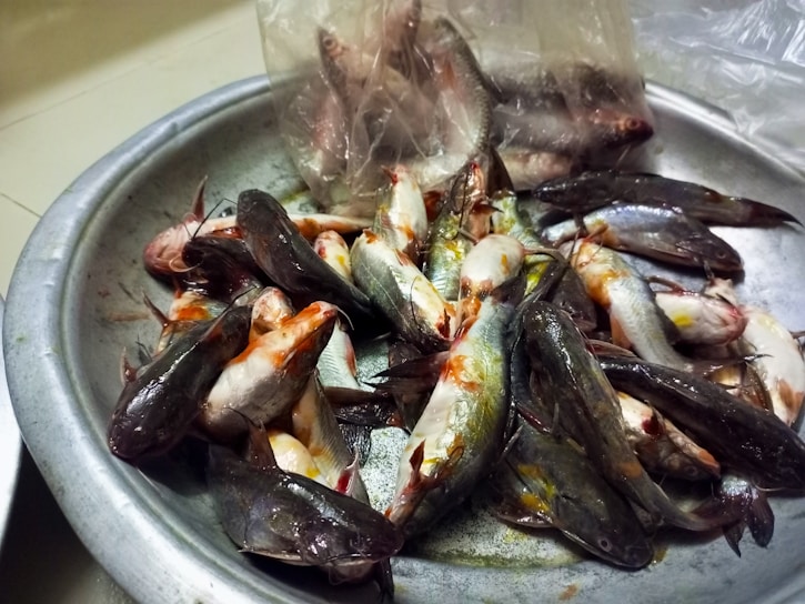 A large pile of small fish, mostly catfish, displayed on a metallic platter. The fish appear fresh and have some blood and scales visible. A transparent plastic bag containing more fish is partially visible in the background.