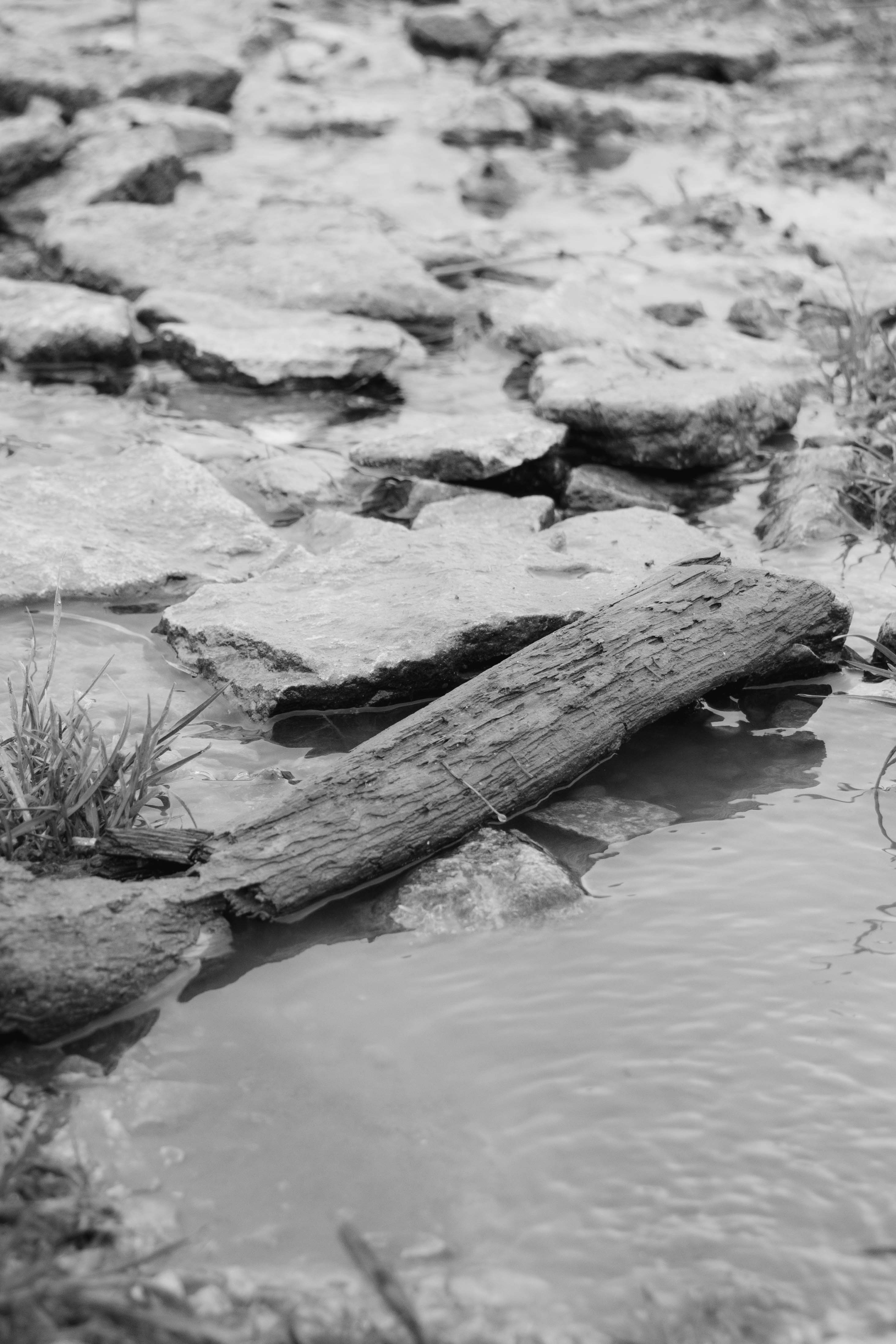 Photo by tobyjay2010