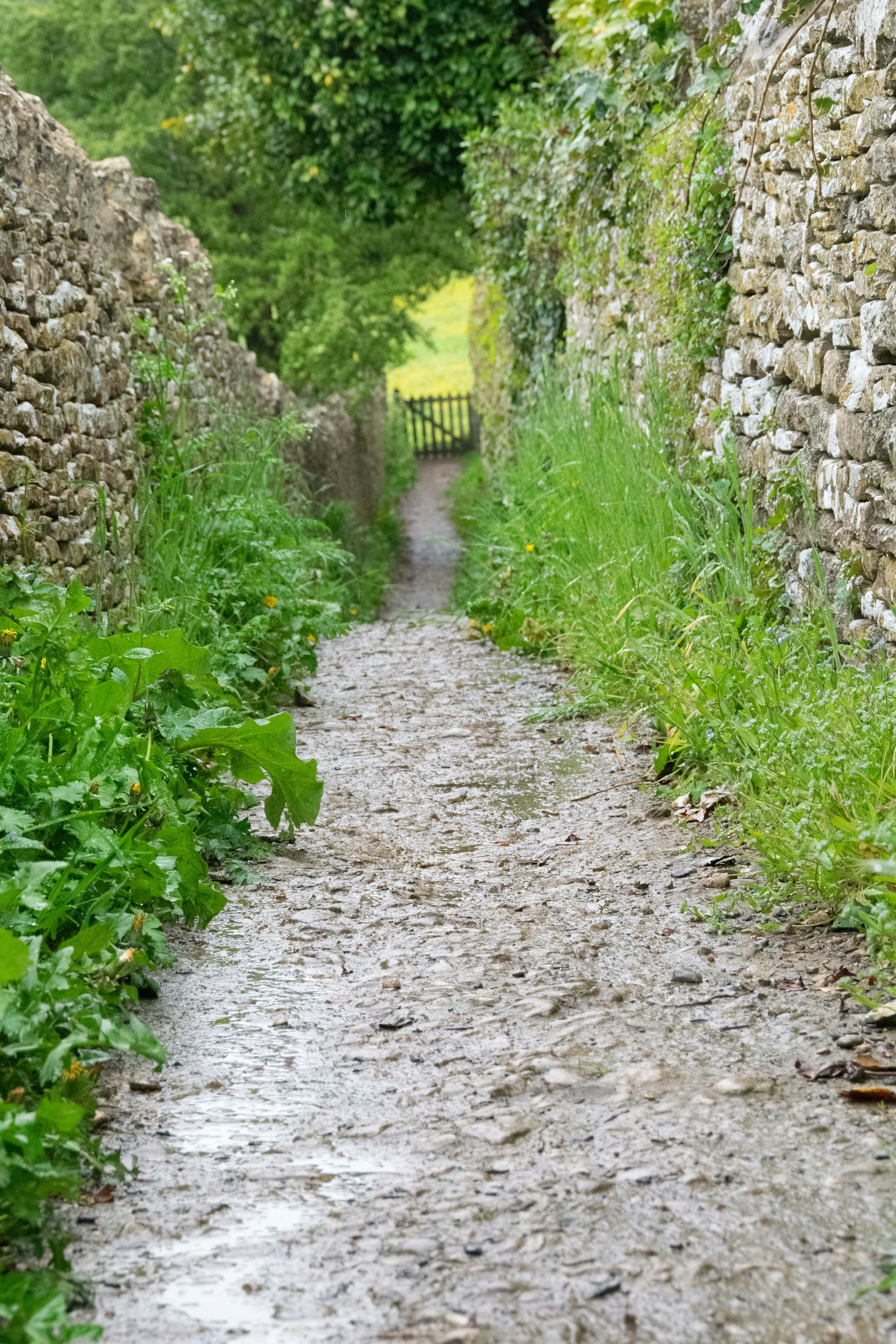 a stone wall and path leading to a grassy area