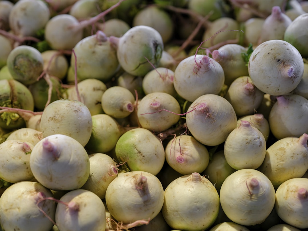 a pile of white radishes sitting on top of each other