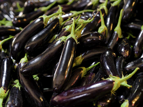 a pile of purple eggplant with green stems