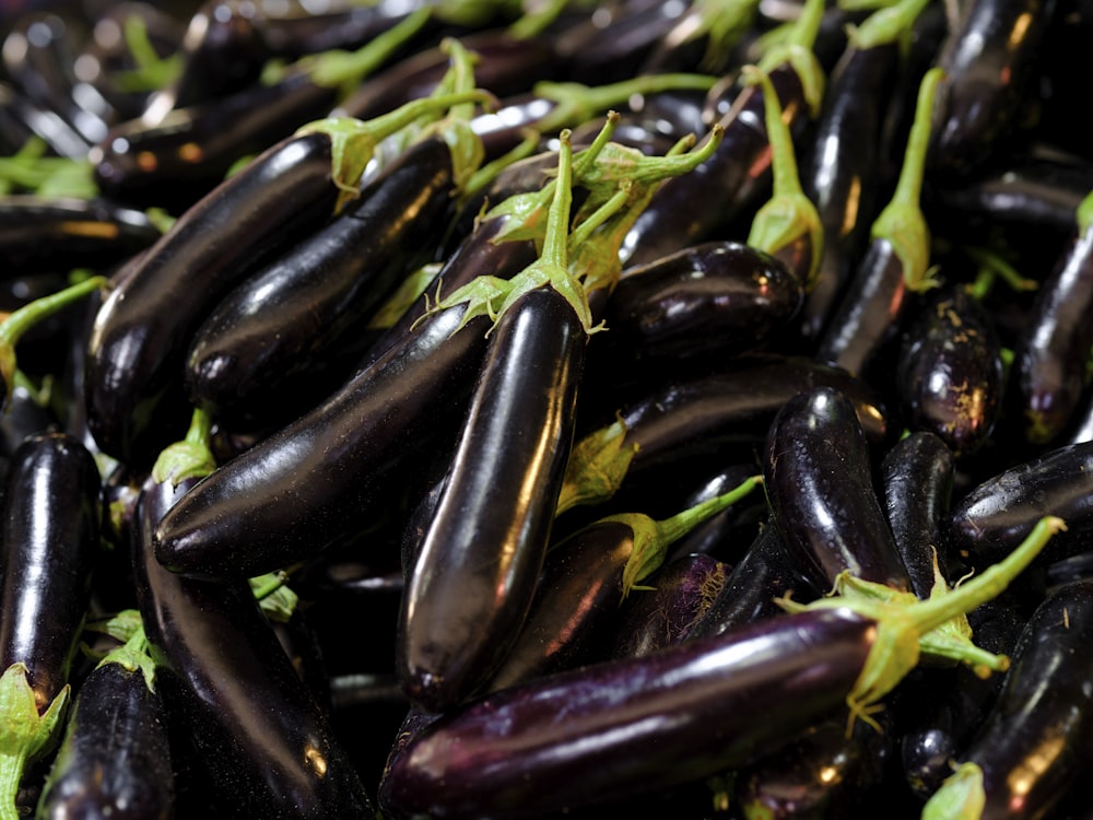 a pile of purple eggplant with green stems