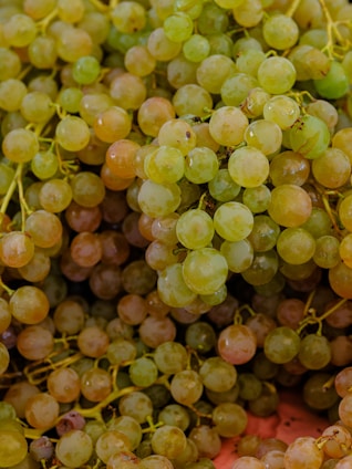 a close up of a bunch of grapes
