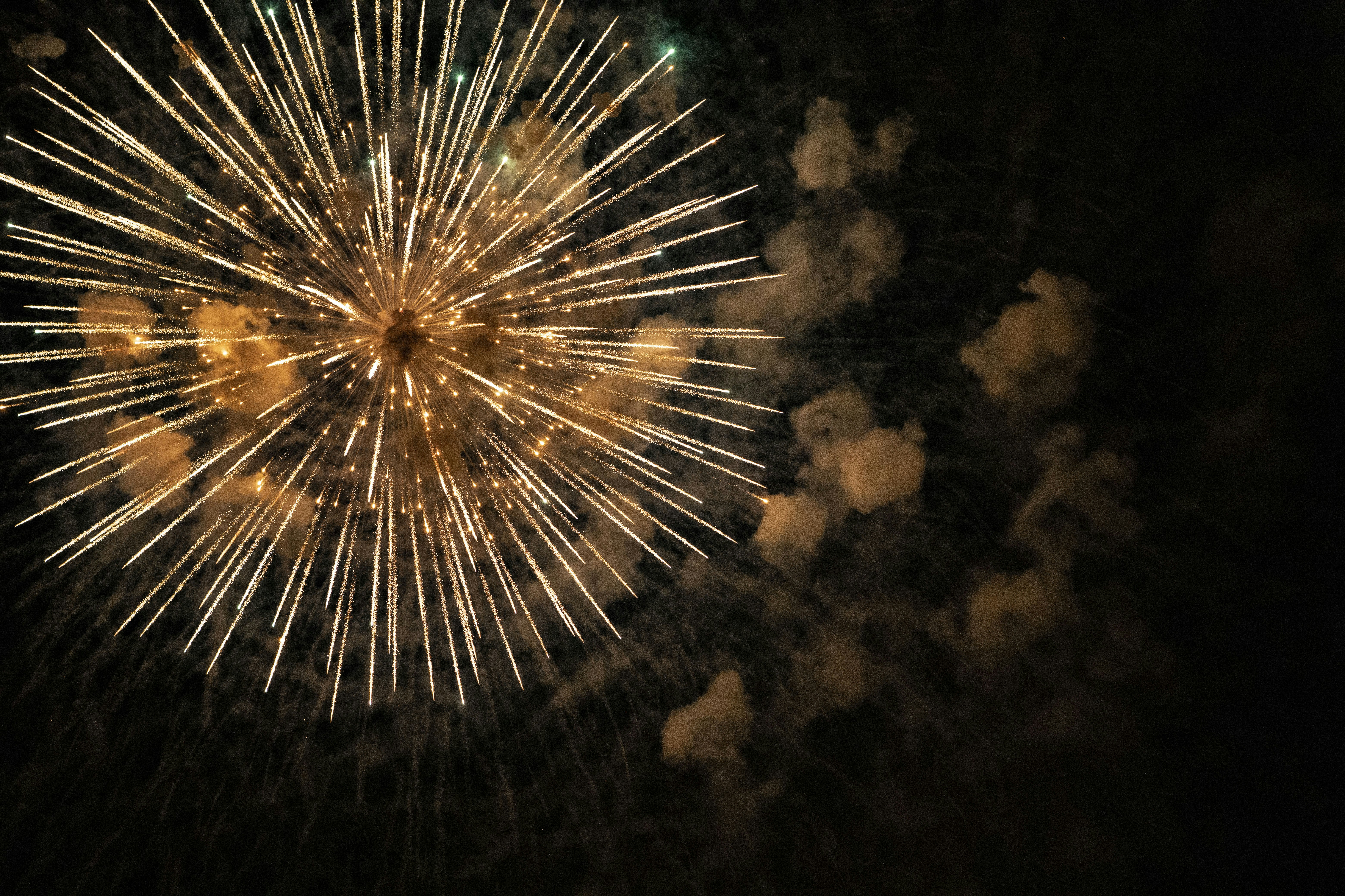 Photo by jddartphotographer