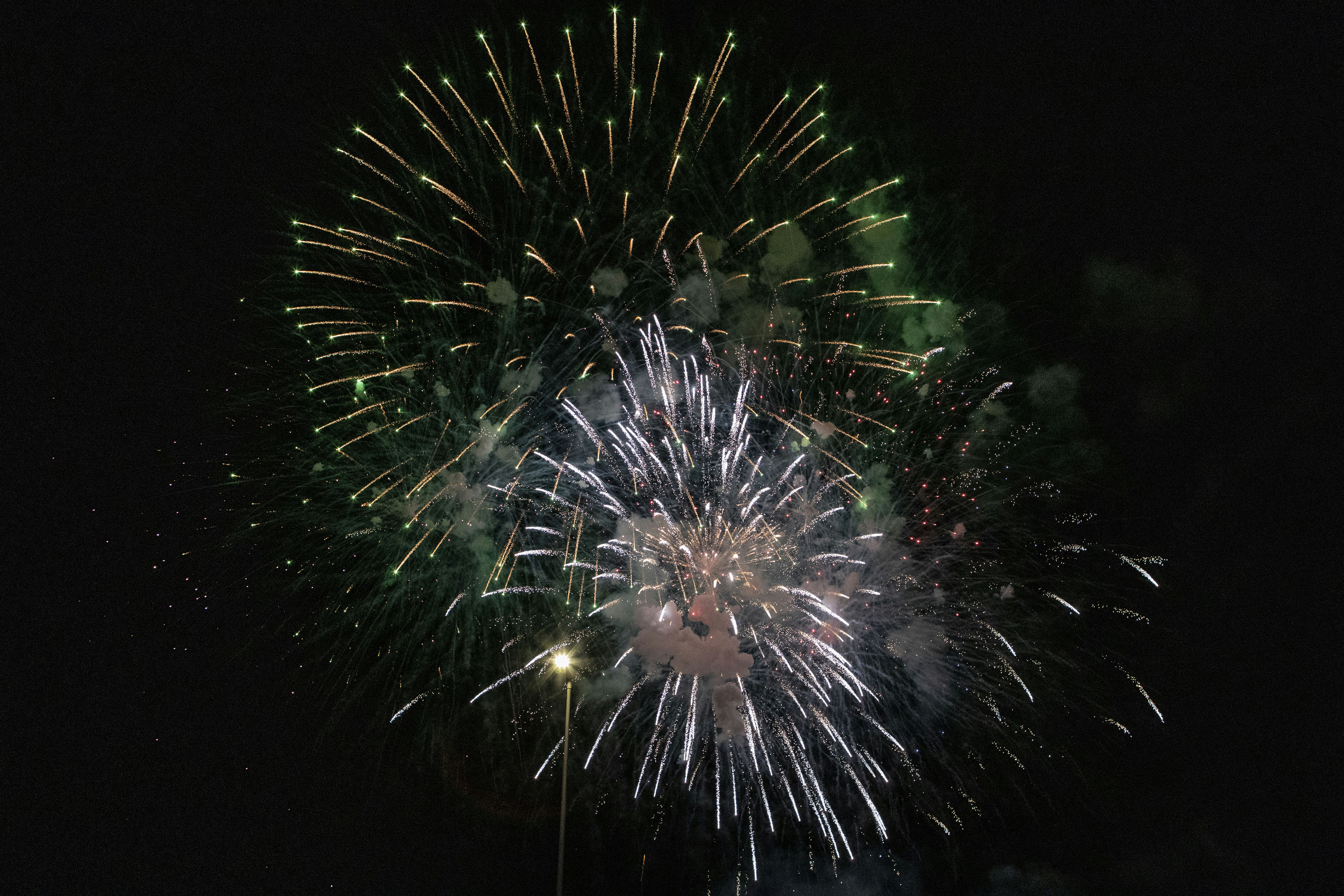 Photo by jddartphotographer