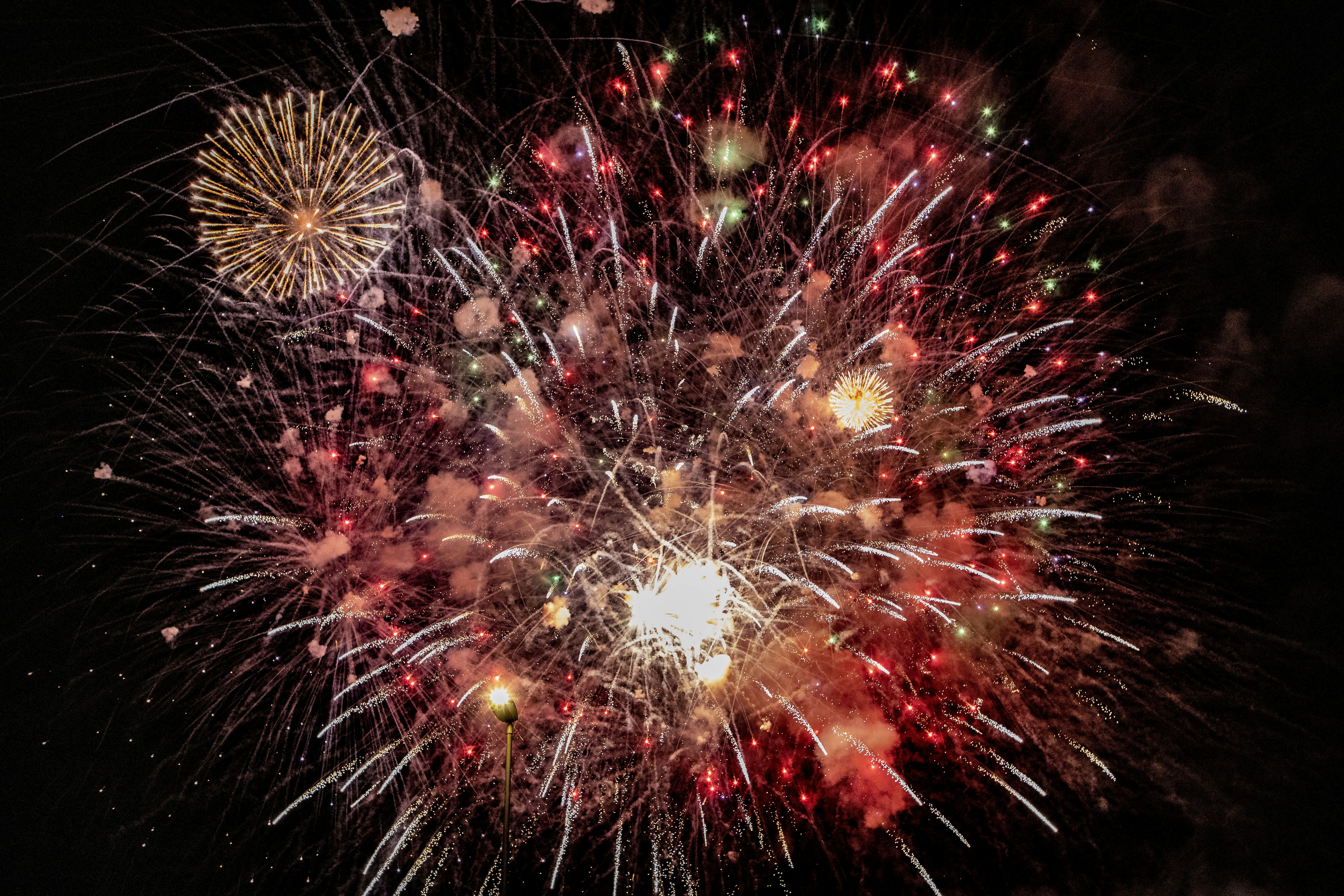 Photo by jddartphotographer