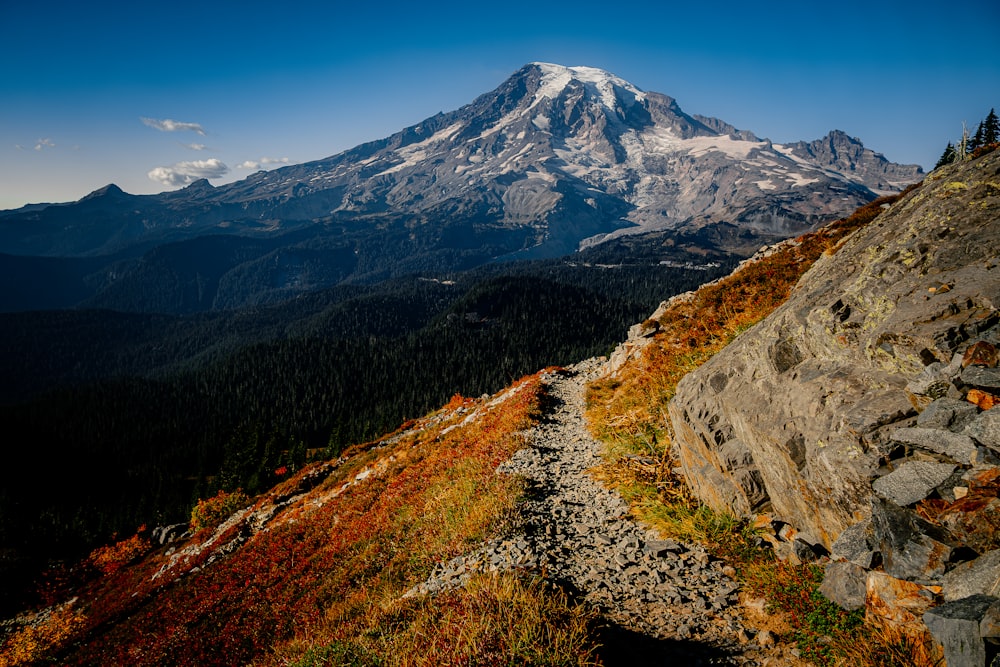 a view of the top of a mountain with a trail in the foreground