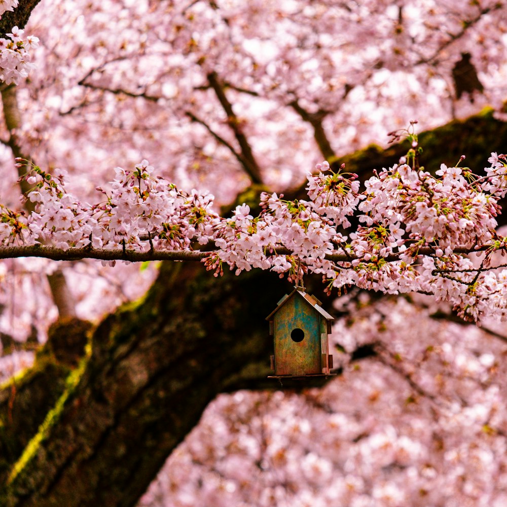 a birdhouse hanging from a tree with pink flowers