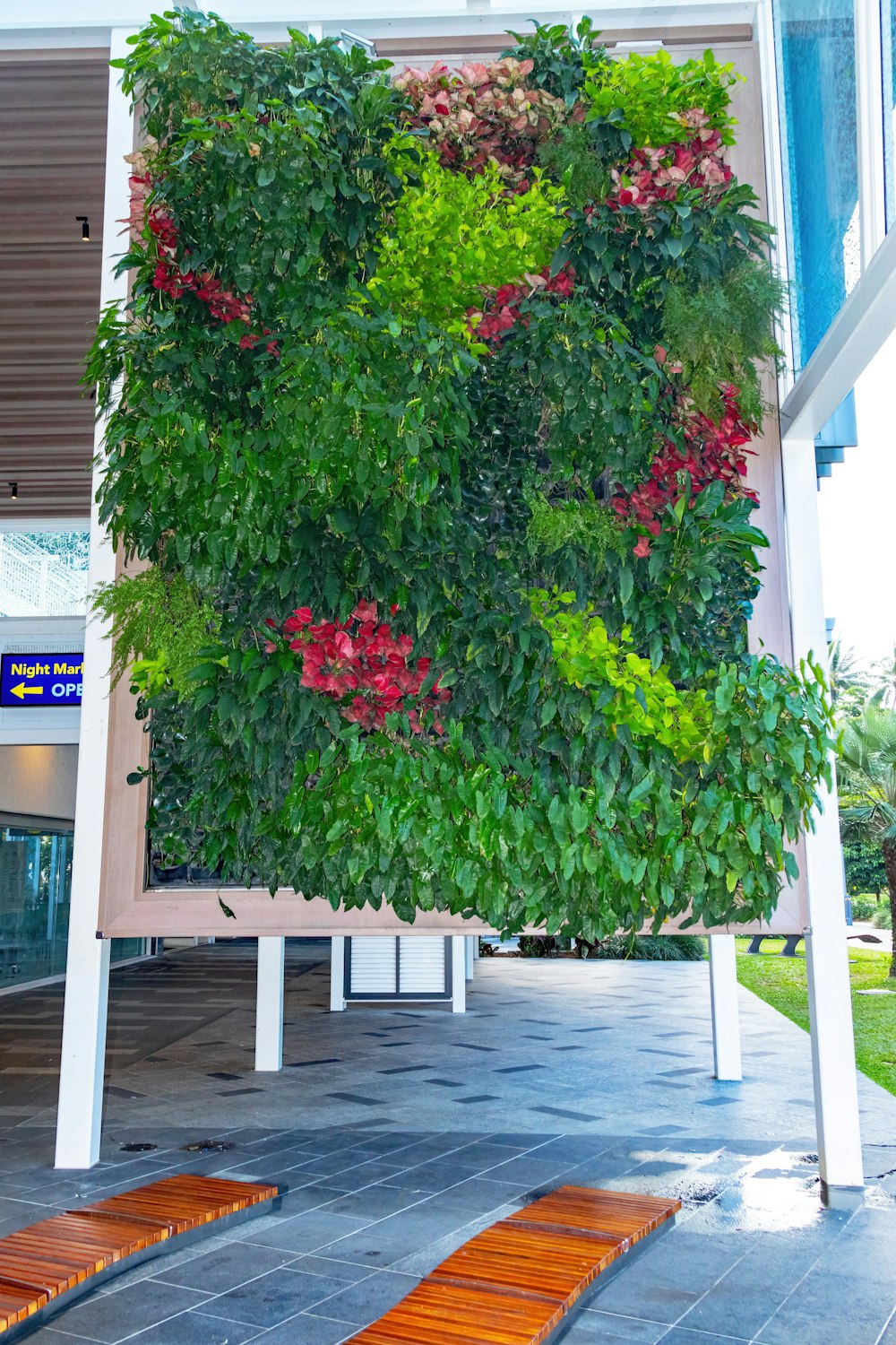 a green wall with red flowers on it