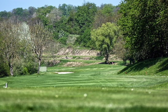 A lush green golf course with neatly trimmed grass, surrounded by tall trees and dense foliage. The fairway is lined with a few sand bunkers, and the terrain is slightly undulating. The sky is clear, indicating sunny weather.