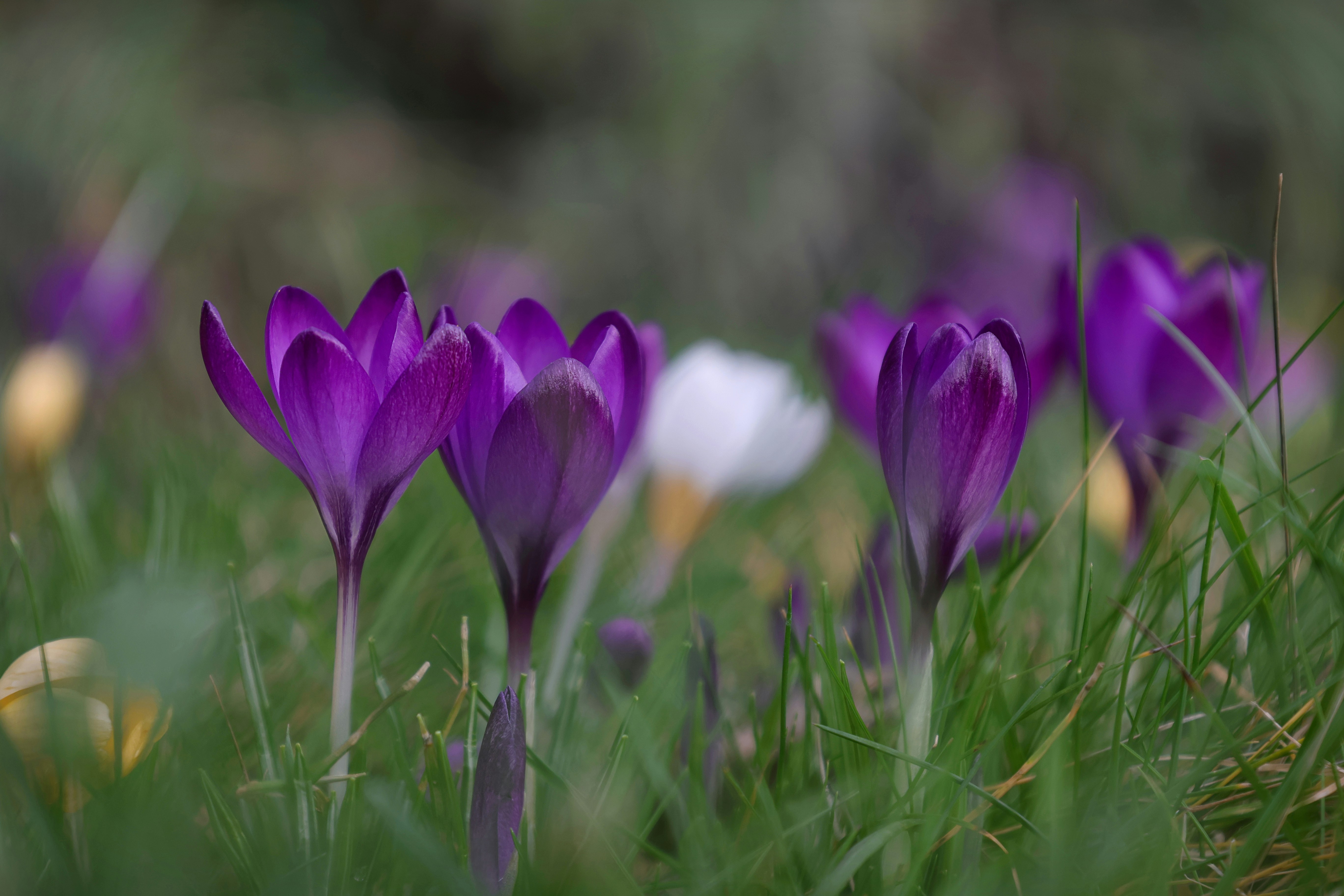 Photo by j_blueberry