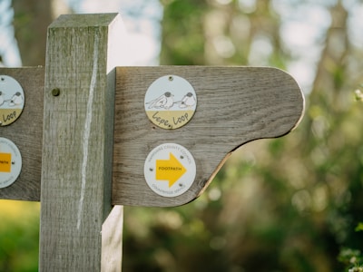A wooden signpost is displayed with circular signs attached. One sign features an illustration of birds with the text 'Lepe Loop,' while another indicates a footpath directional arrow by Hampshire County Council. The background is blurred with foliage and natural lighting.