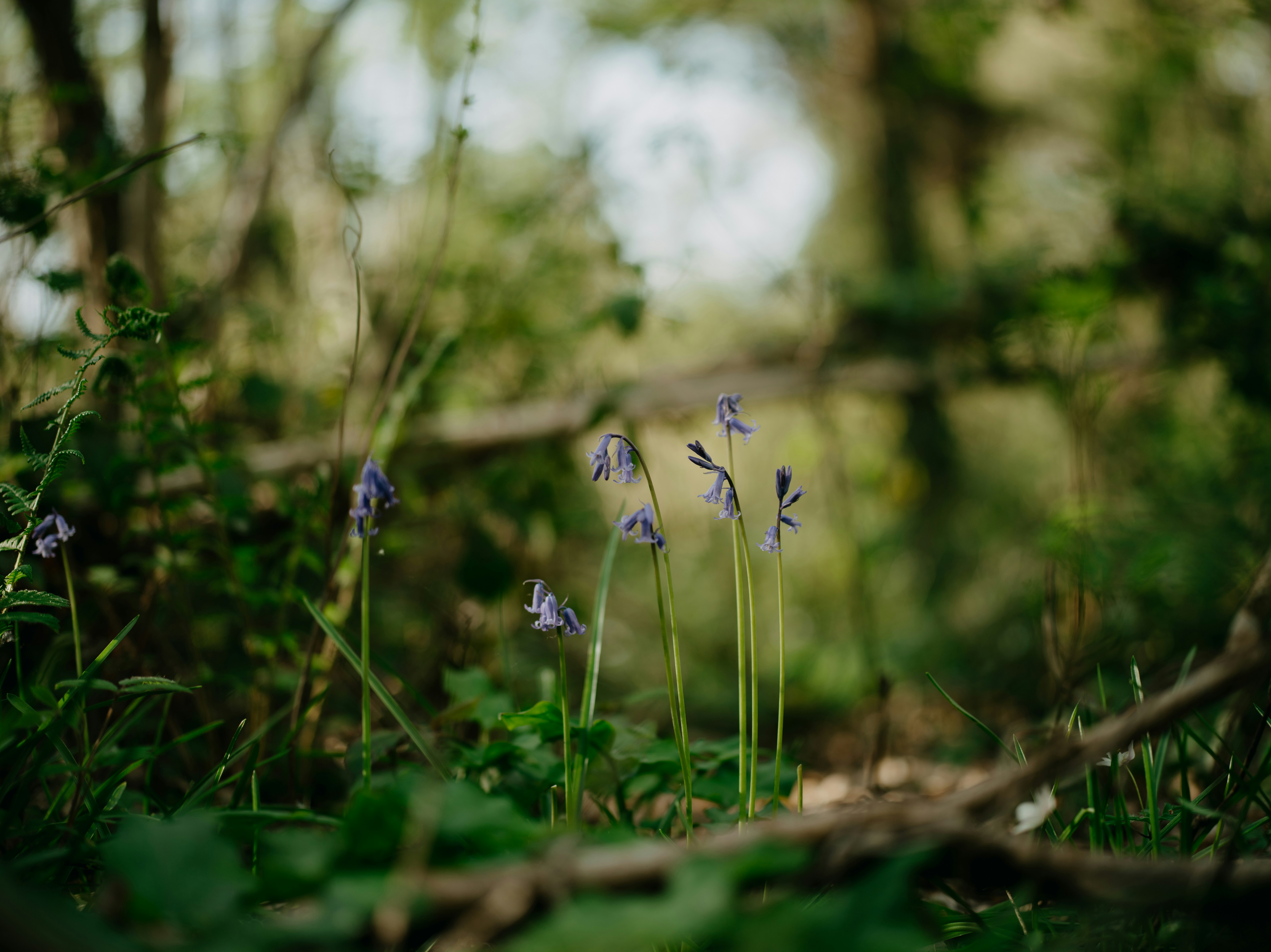 Photo by anniespratt