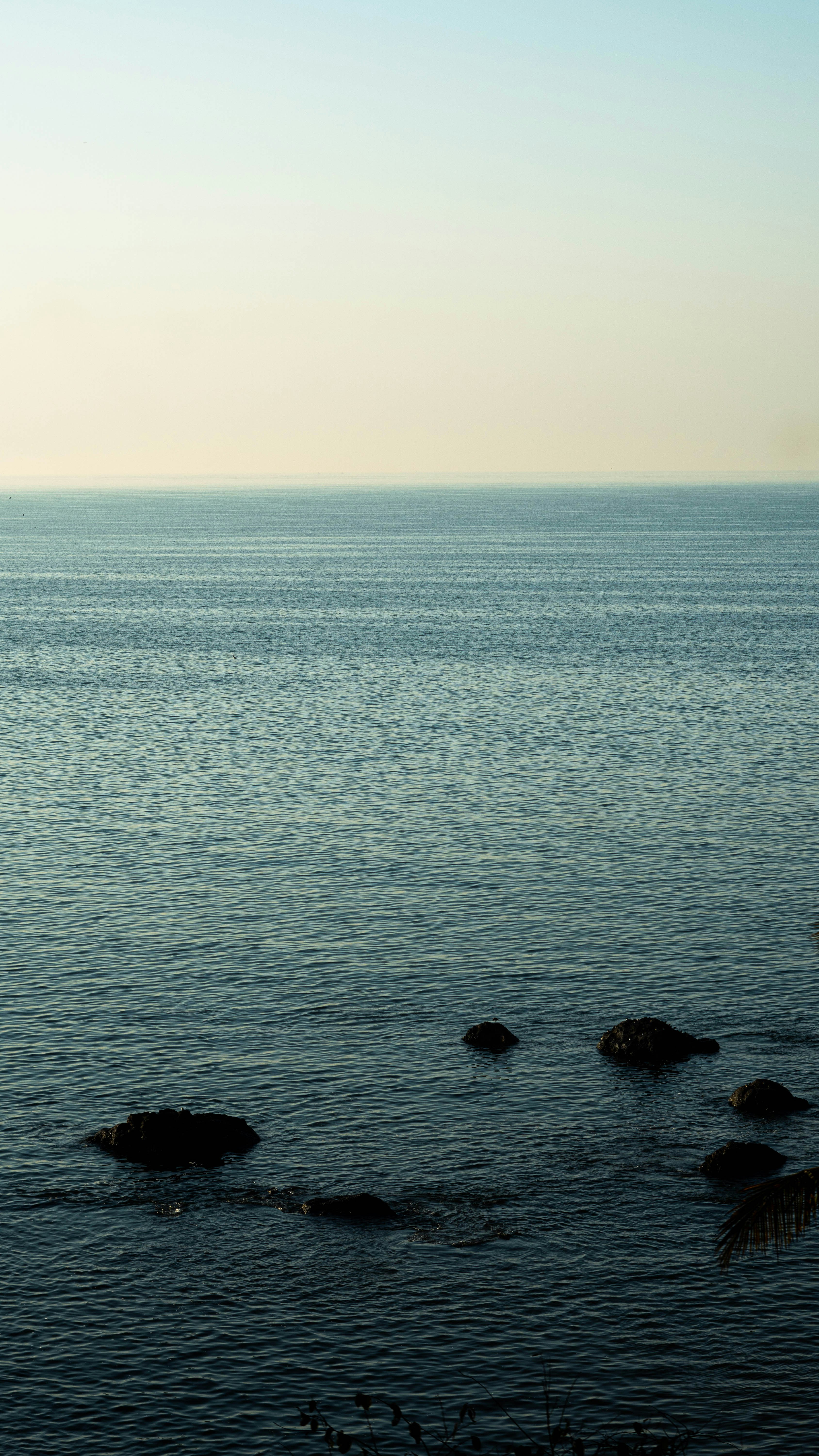 Photo by ashok_bravo