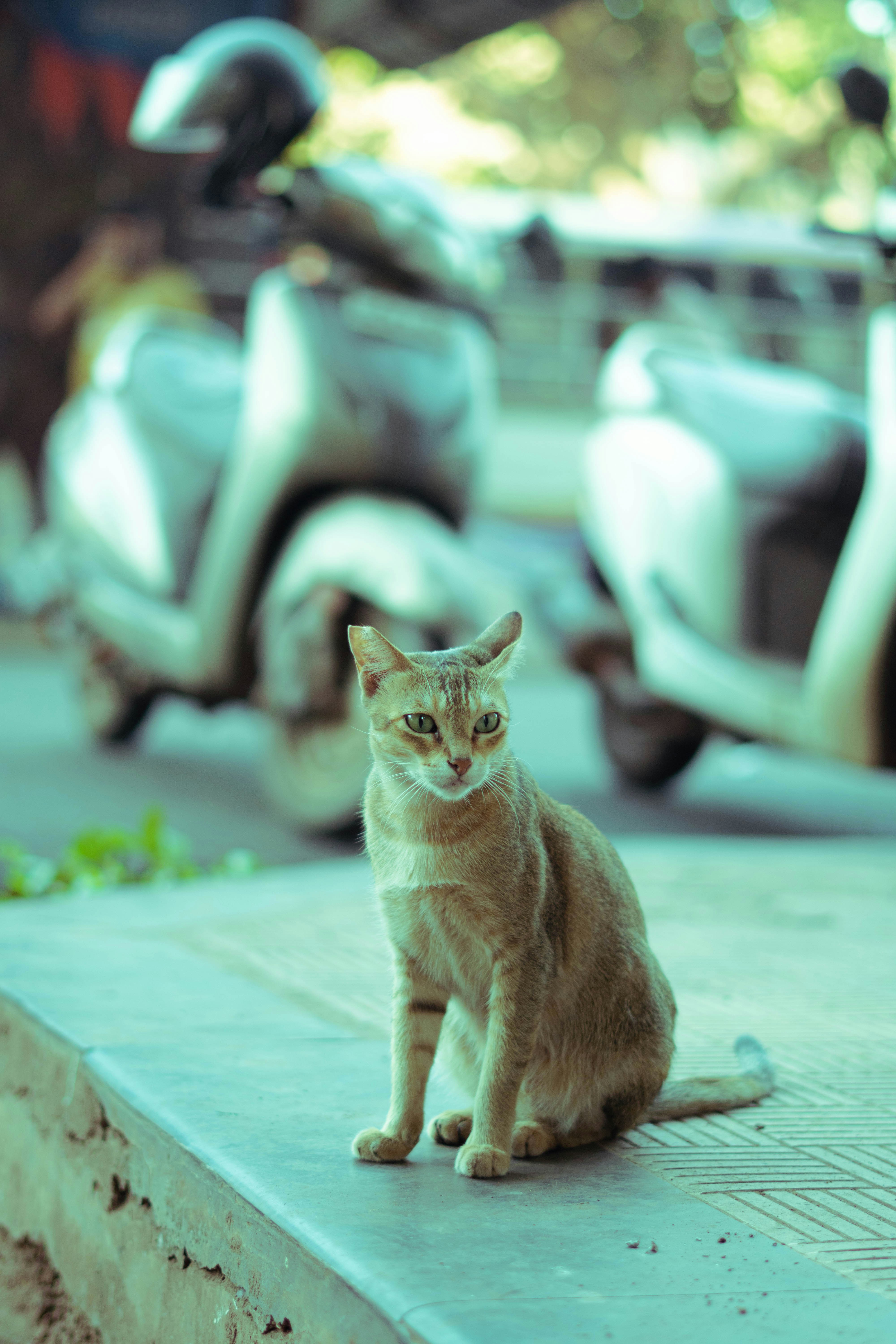 Photo by ashok_bravo