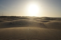 The serene desert dunes of the Empty Quarter stretching endlessly under a bright sun.