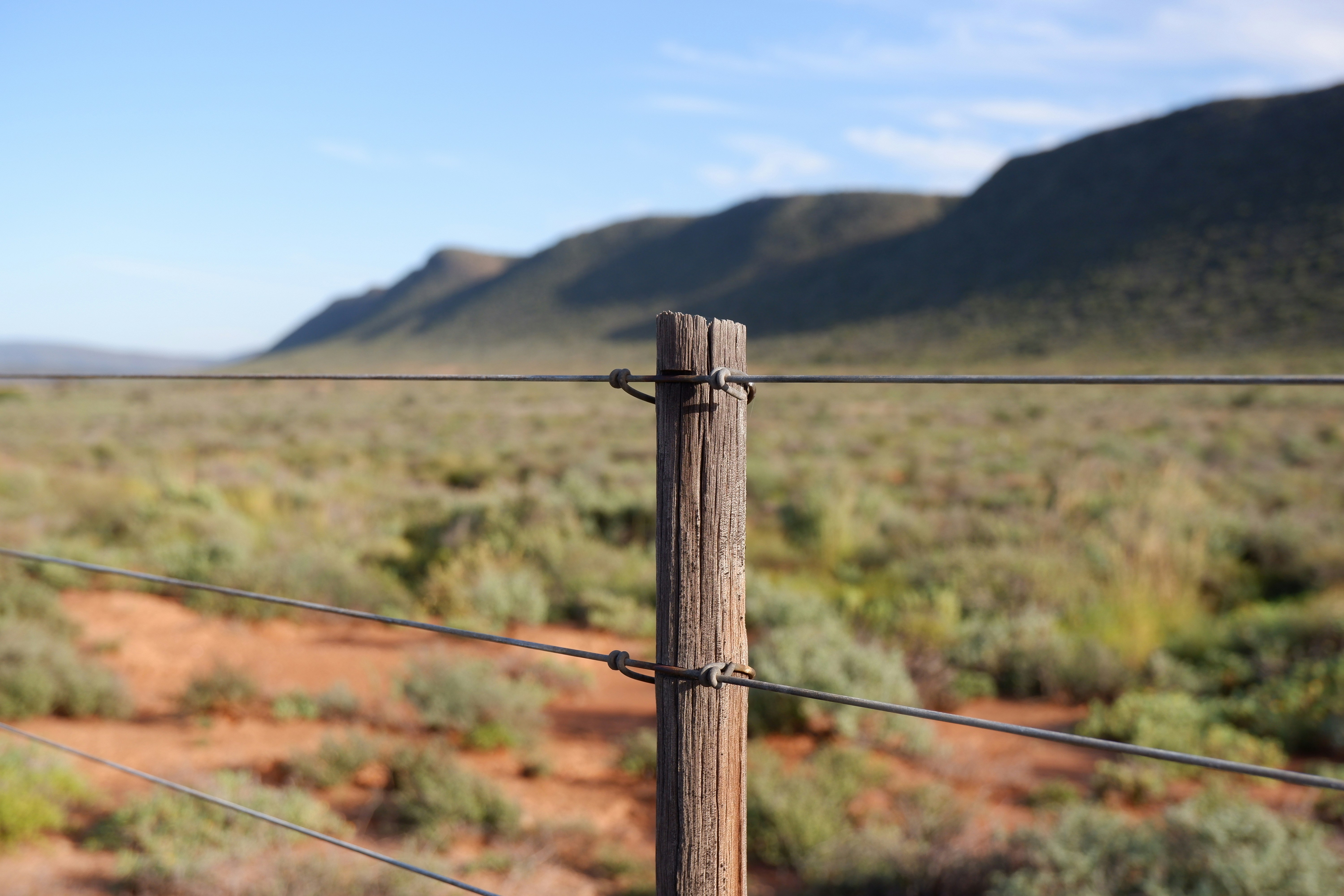 a wire fence with a mountain in the background