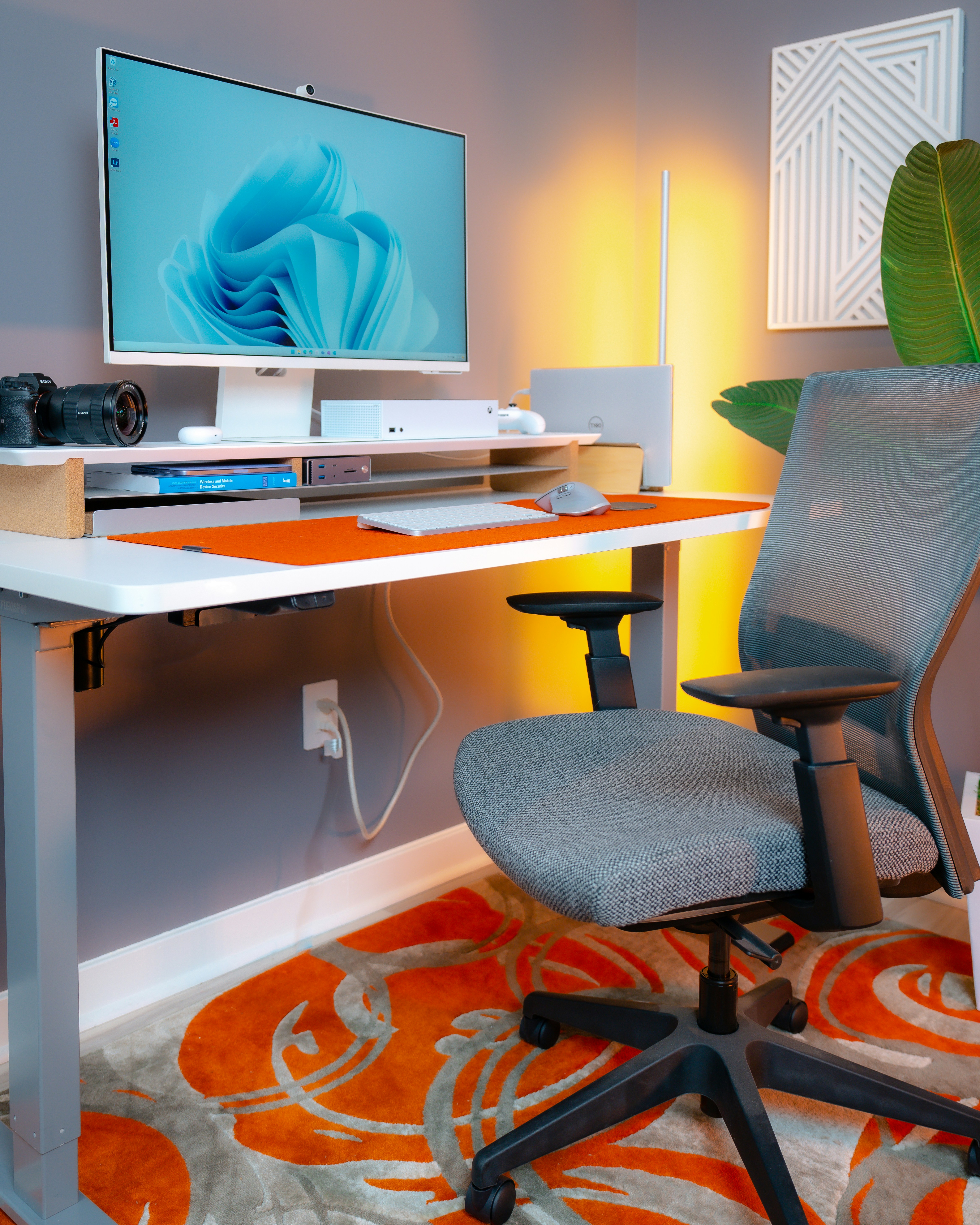 Photographer's workspace with standing desk