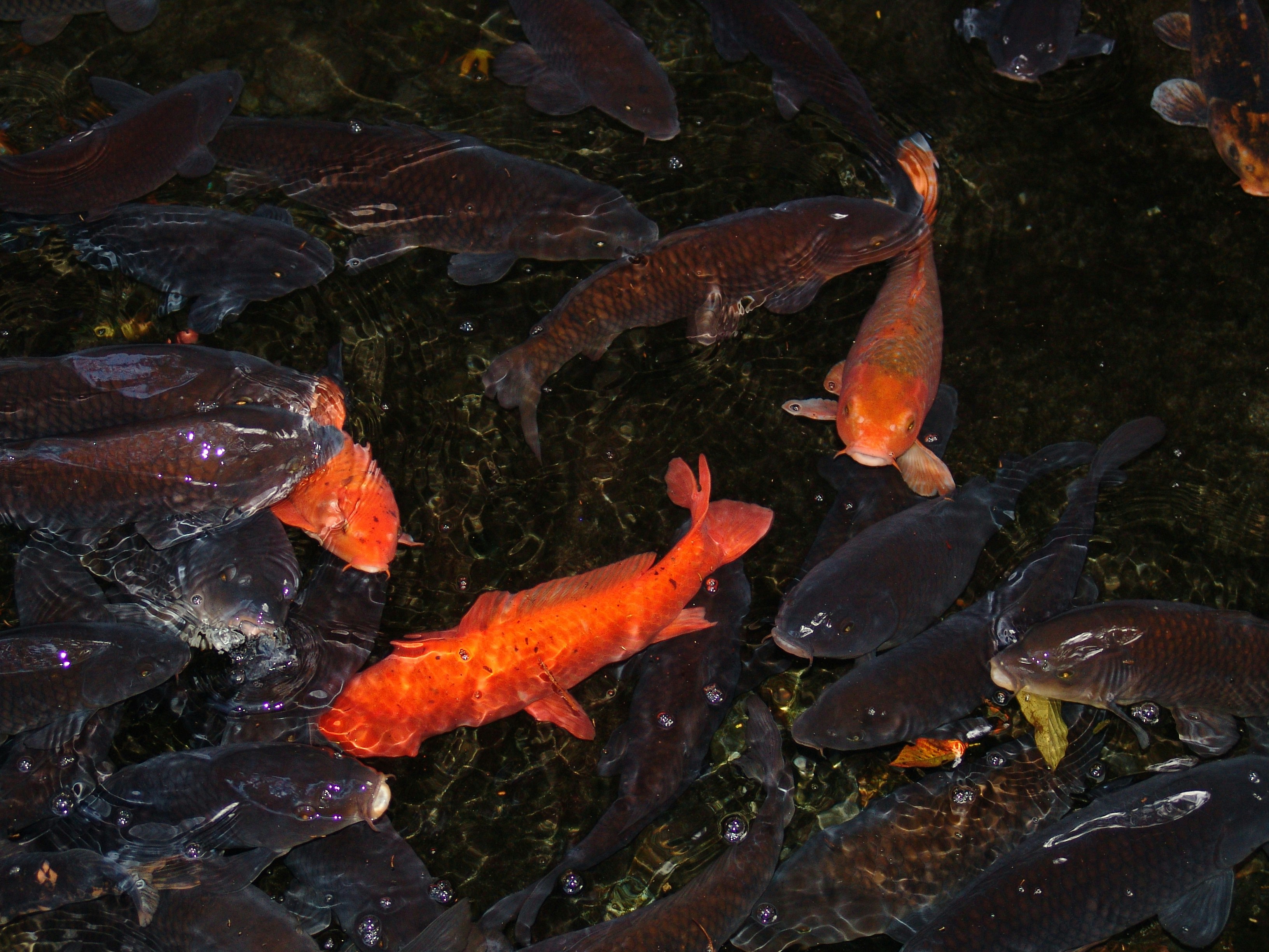 Photo by youngjoo_55