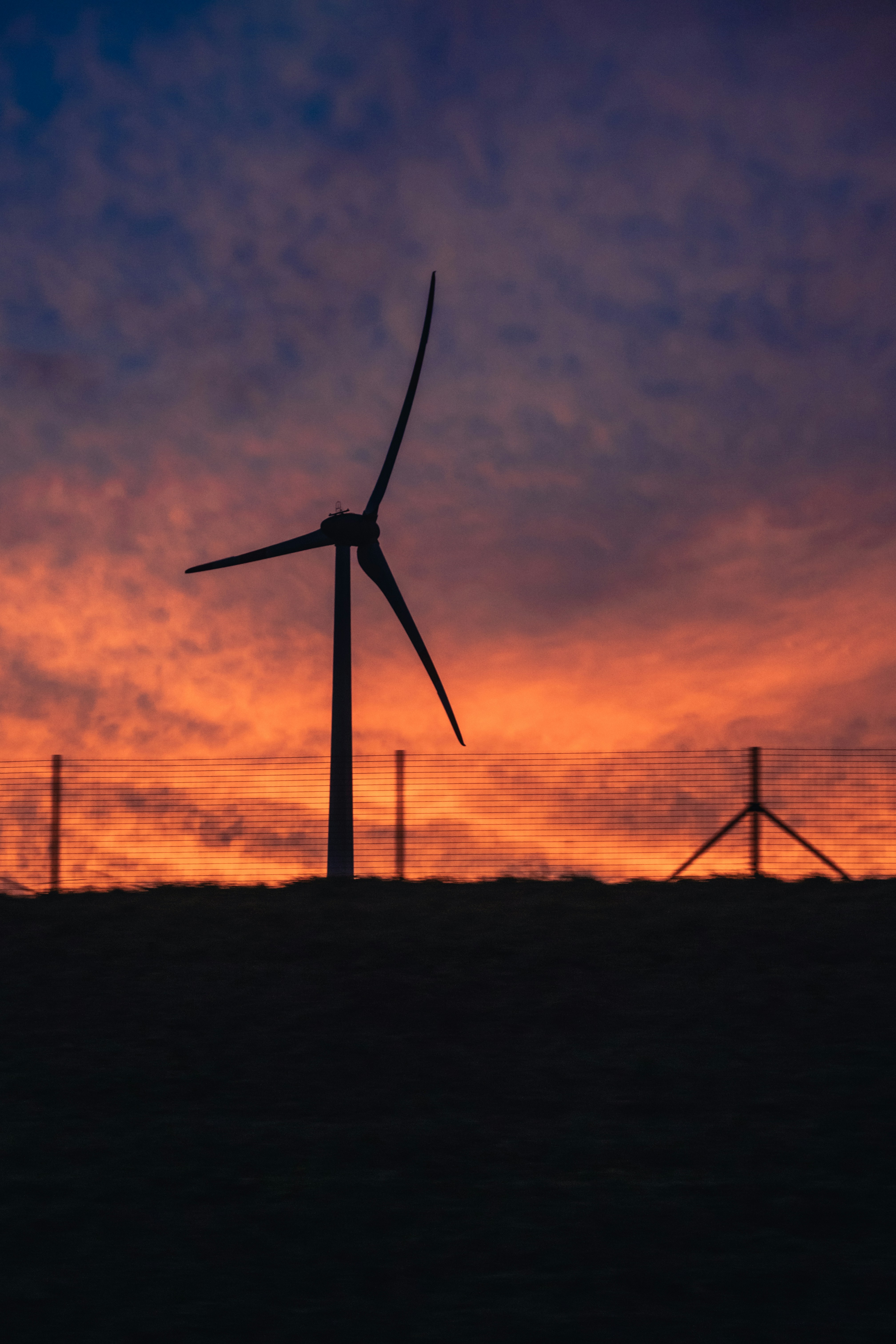 Photo by winstontjia