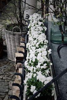 A row of white flowers is beautifully arranged in a rectangular planter, placed on a stone surface. The planter has metal embellishments resembling hooks. Surrounding the planter are rustic elements, including a woven basket and branches contained in a large glass vase. The background includes cobblestone and a white column.