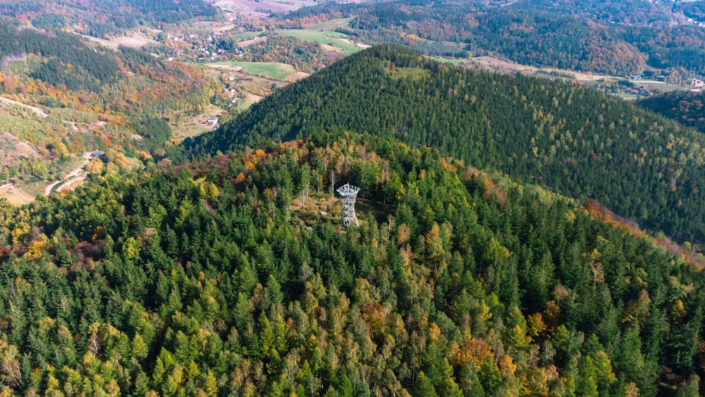 an aerial view of a forest with lots of trees