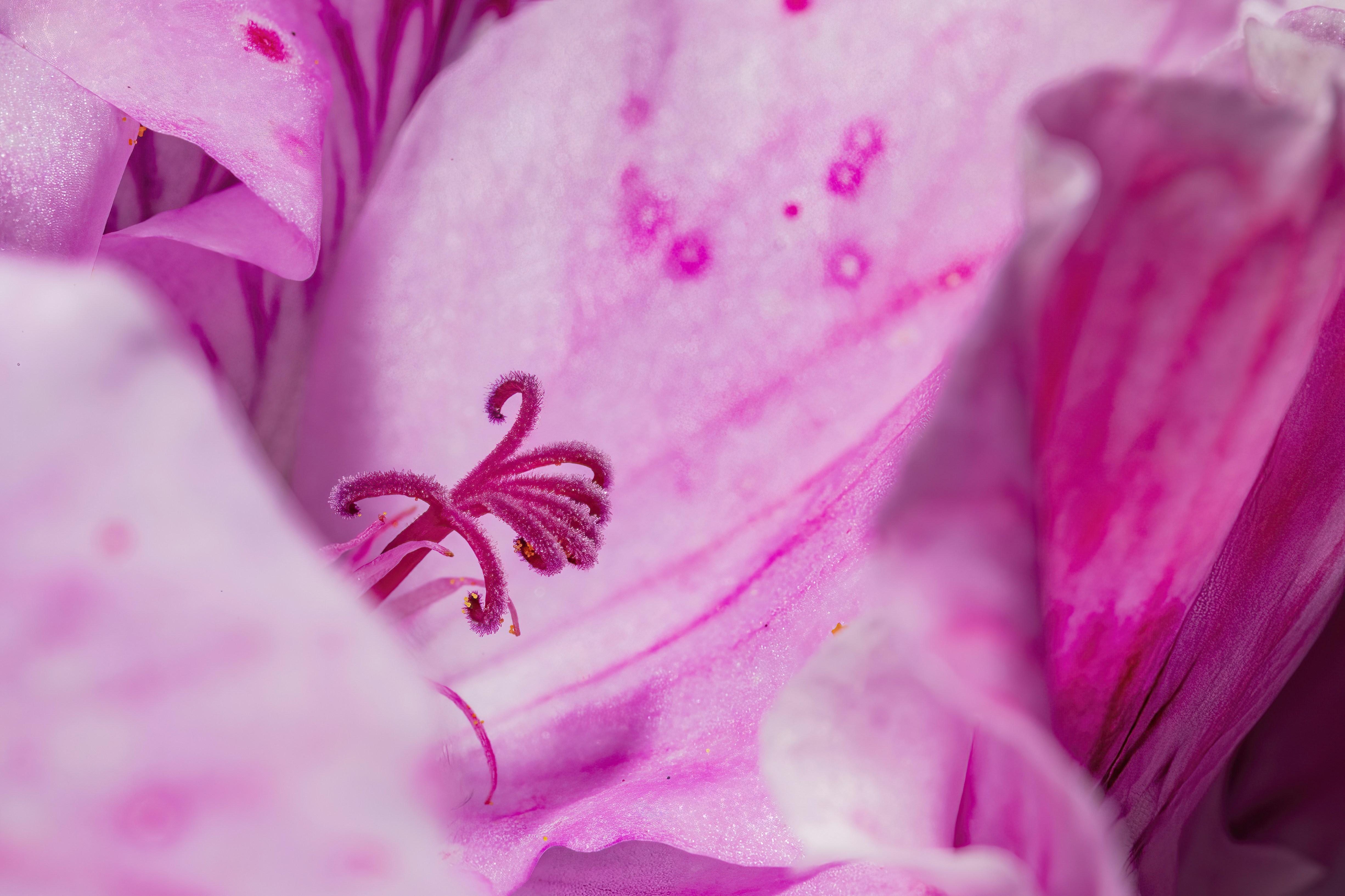 Photo by jddartphotographer