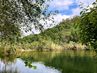 A serene outdoor setting with a scientist observing nature for research.