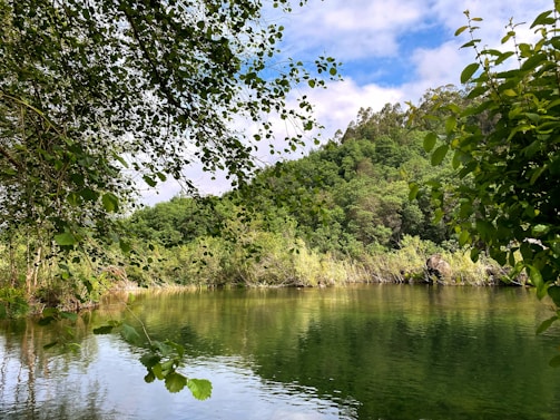 A serene outdoor setting with a scientist observing nature for research.
