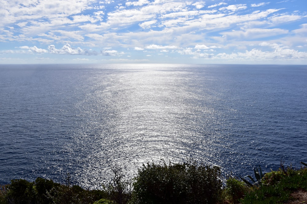 a view of the ocean from the top of a hill