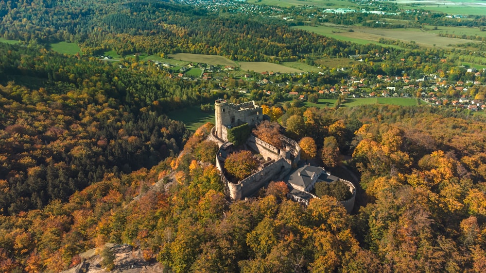 an aerial view of a castle surrounded by trees