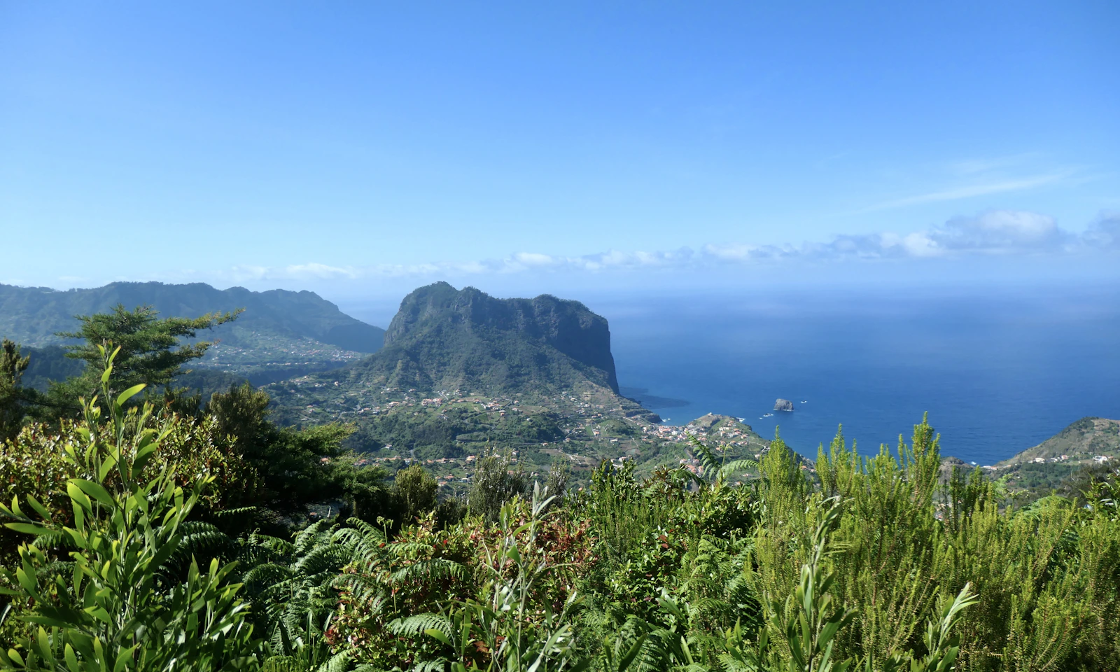 Madeira coastline with green cliffs and Atlantic ocean