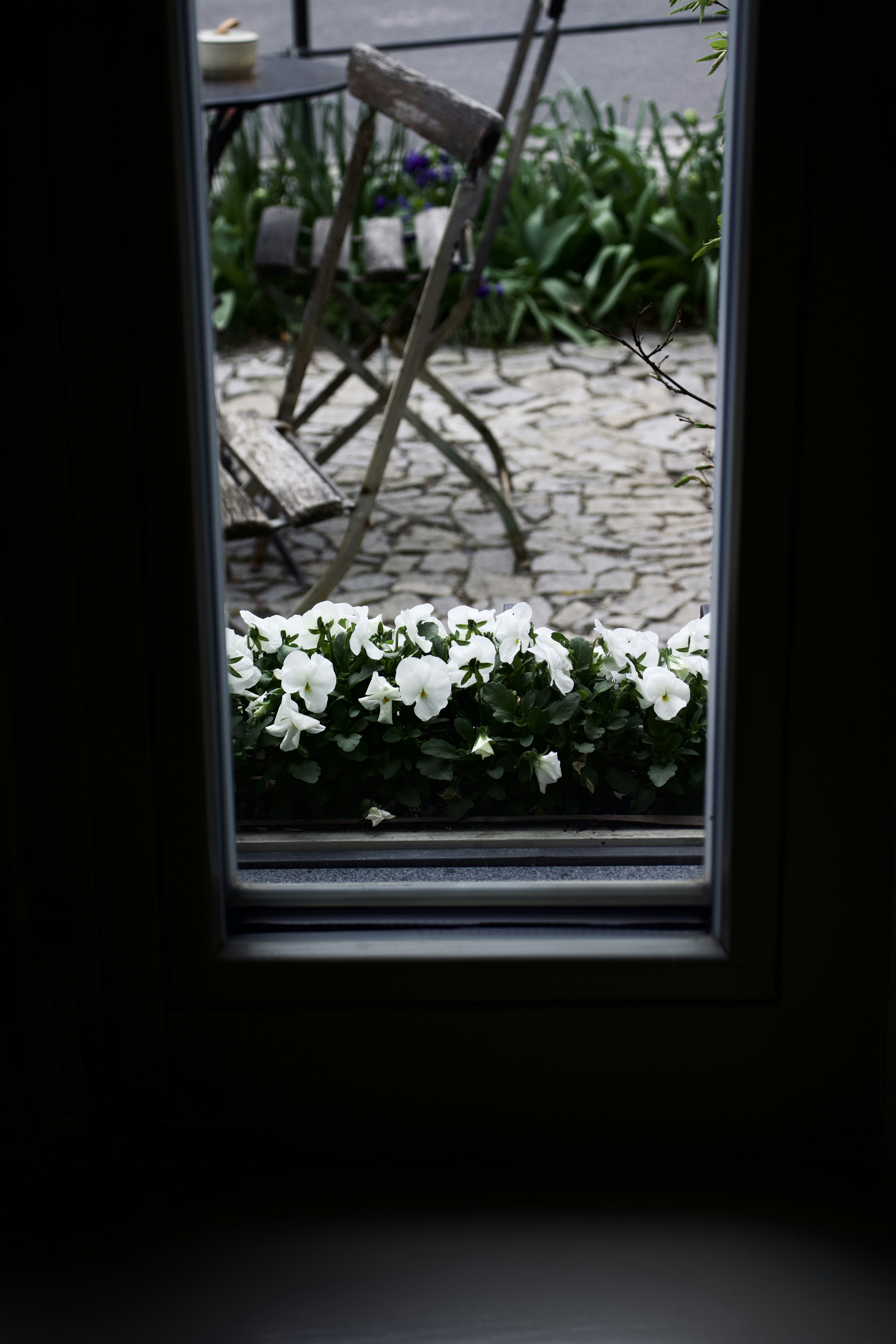 Photo by jakub_neskora